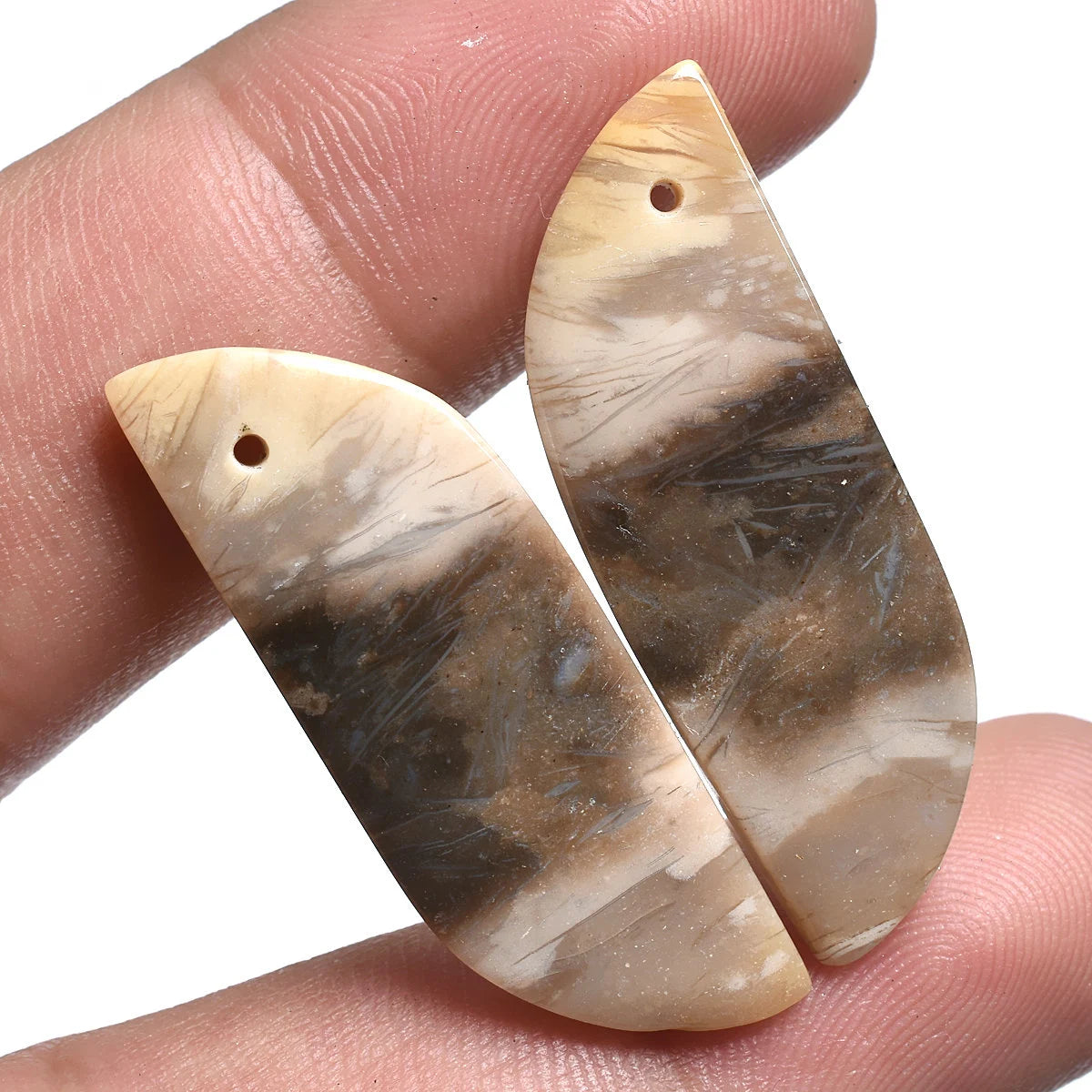 Natural Palm Root Matching Pair Gemstone, Top Drill Smooth Cabochon