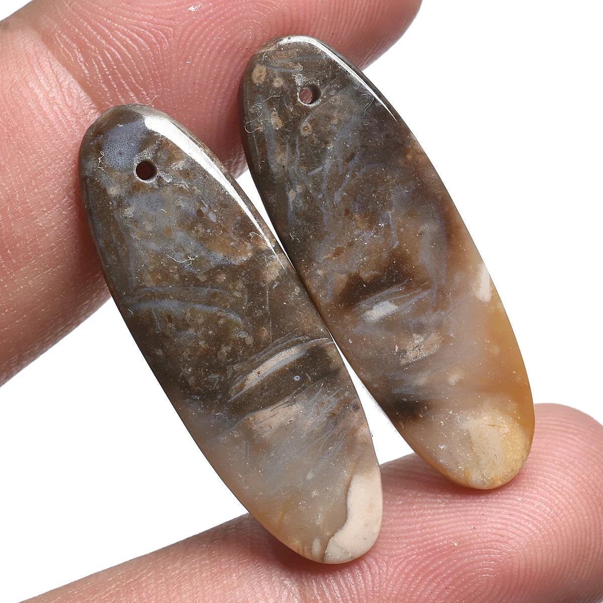 Natural Palm Root Matching Pair Gemstone, Top Drill Smooth Cabochon