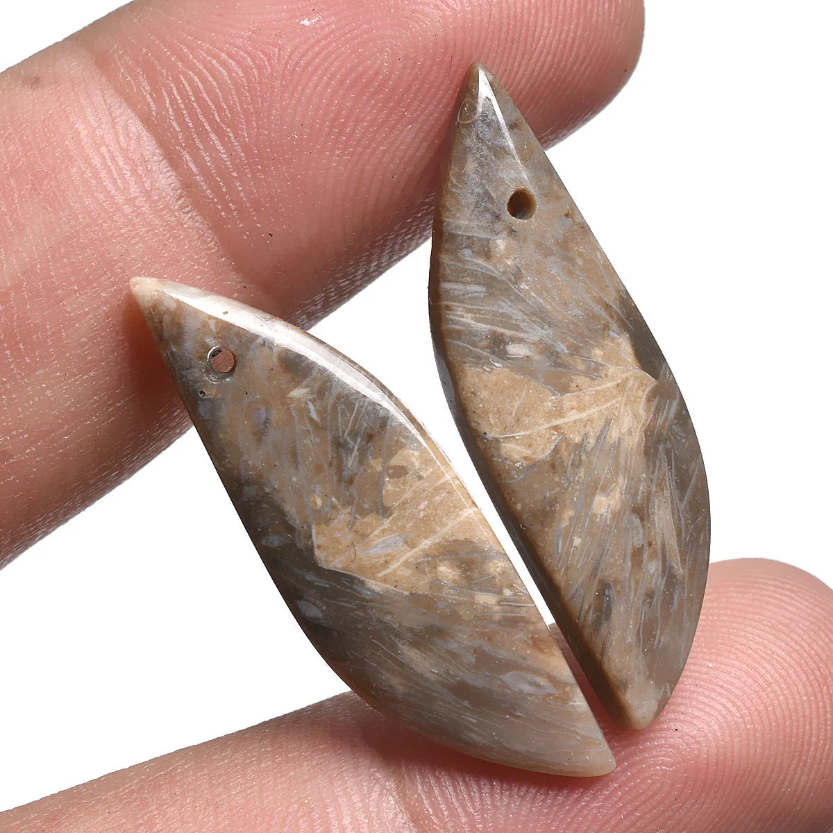 Natural Palm Root Matching Pair Gemstone, Top Drill Smooth Cabochon