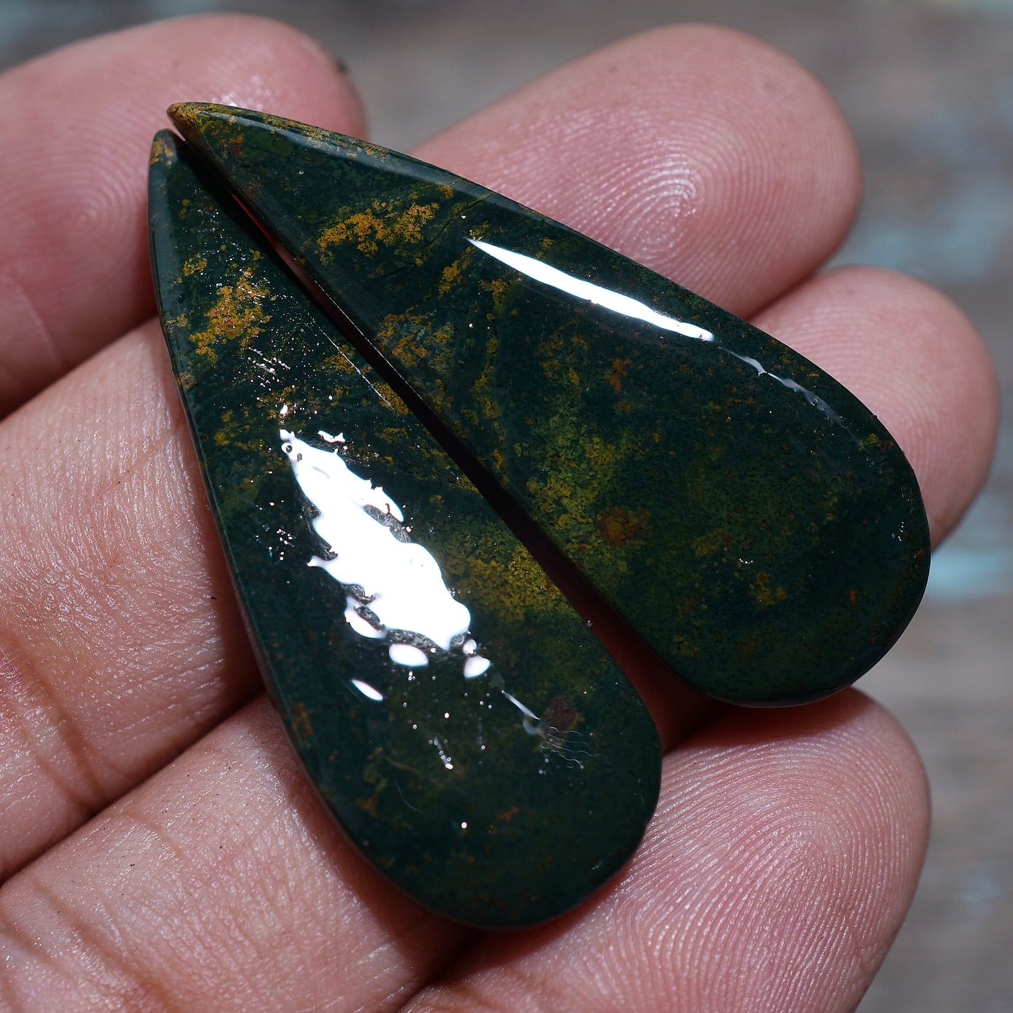 Dark Forest Bloodstone Gemstone Pair – Natural Polished Stones for Artisan Jewelry