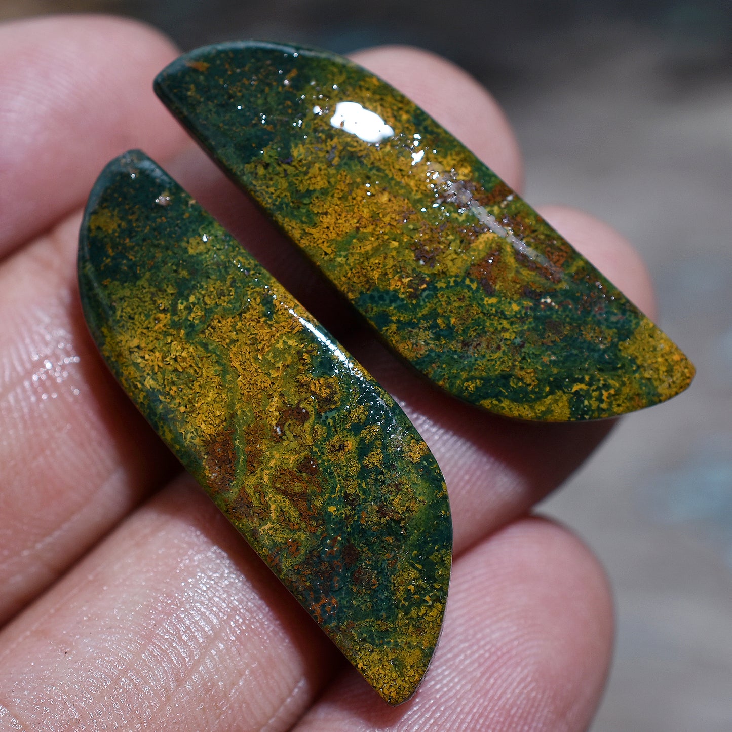 Striking Bloodstone Gemstone Pair – Richly Colored Stones for Creative Jewelry