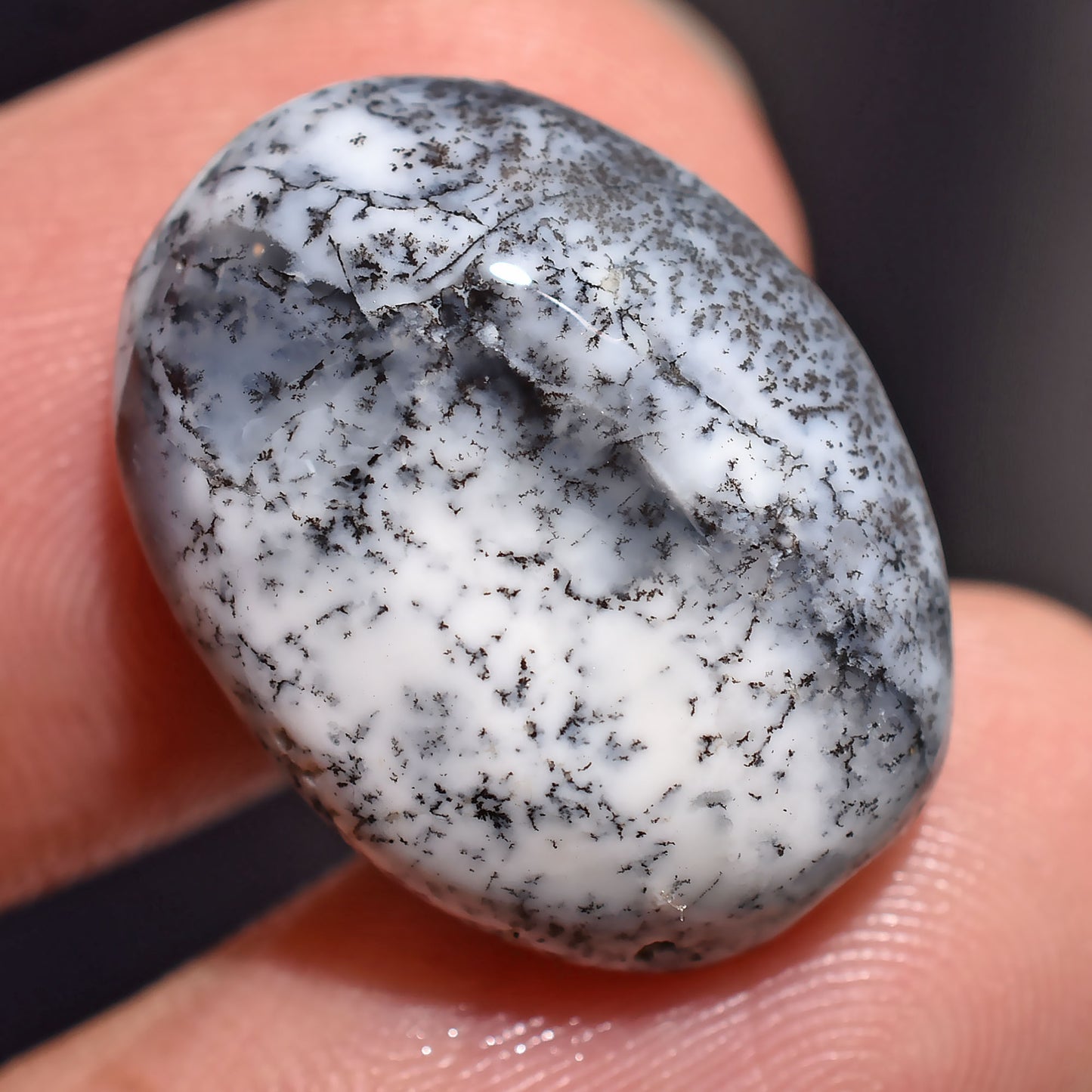 Natural Dendrite Opal Cabochon – Oval Crystal Healing Stone (13x19x2mm,/16ct)