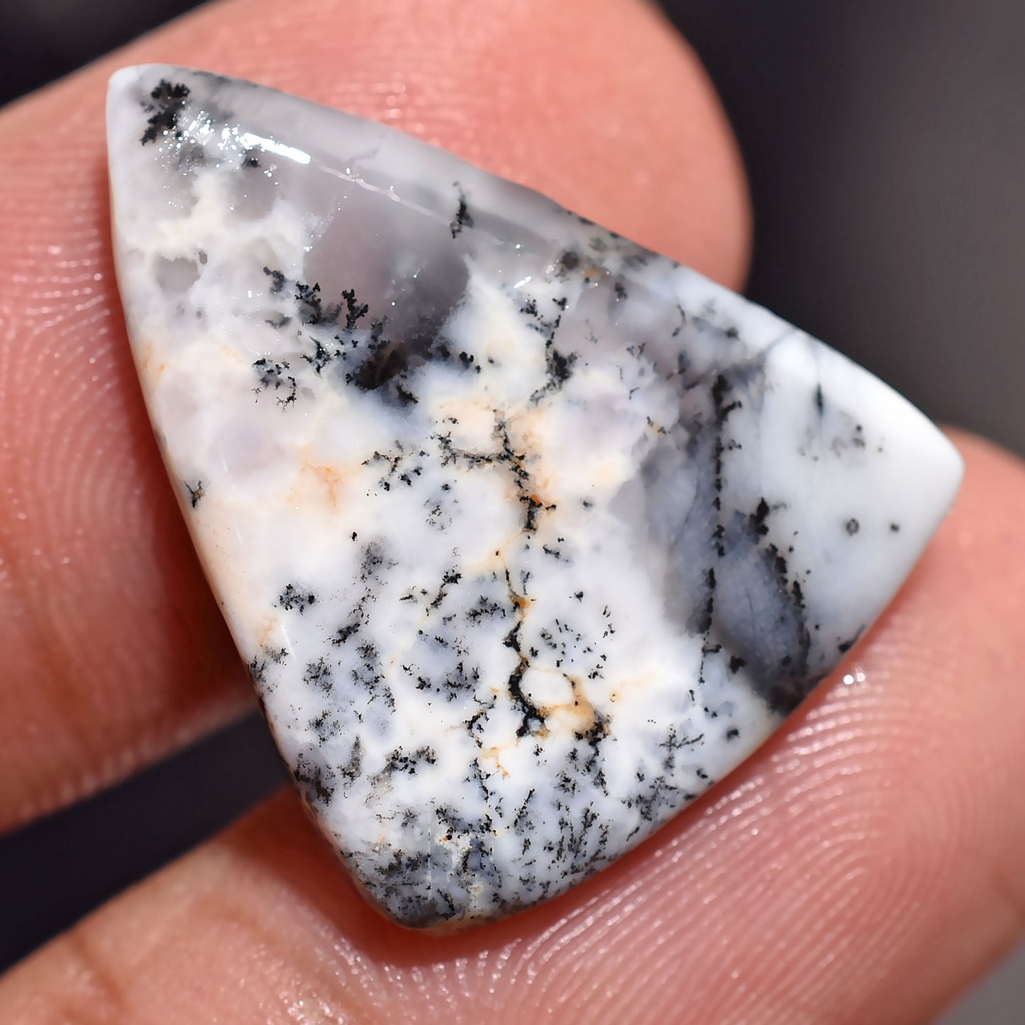 Fancy Dendrite Opal Cabochon – Natural White & Black Gemstone (15x22x2mm,/9ct)