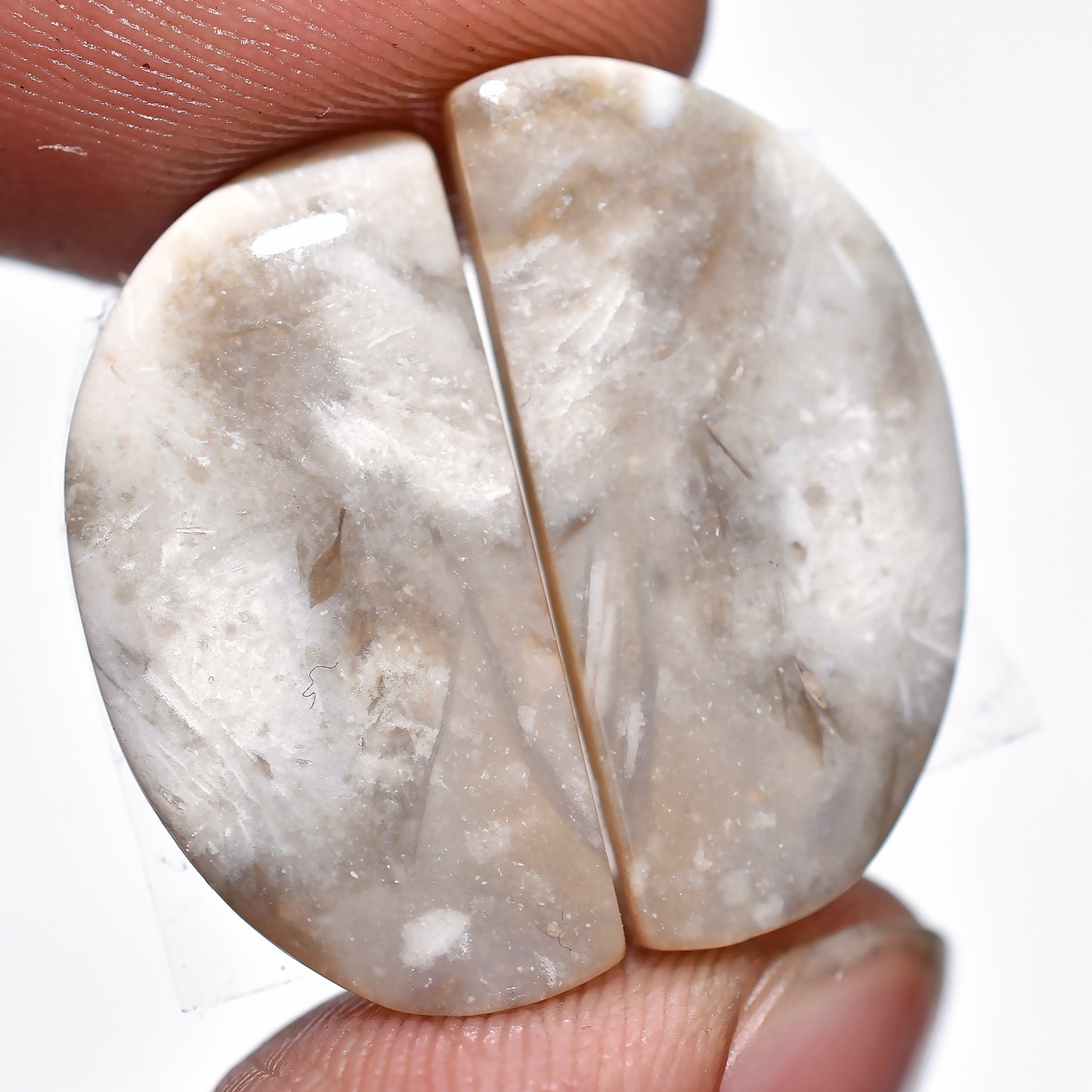 Palm Root Earring Pair, Hand-Cut Matched Palm Root Agate Gemstones