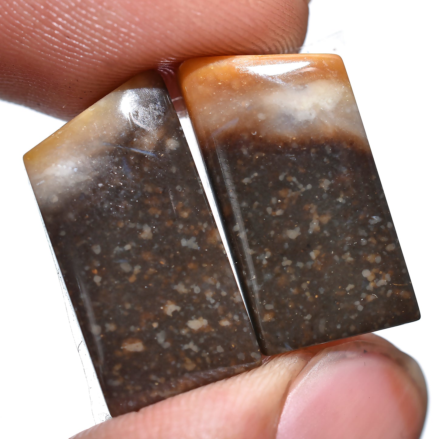 Palm Root Earring Pair, Hand-Cut Matched Palm Root Agate Gemstones