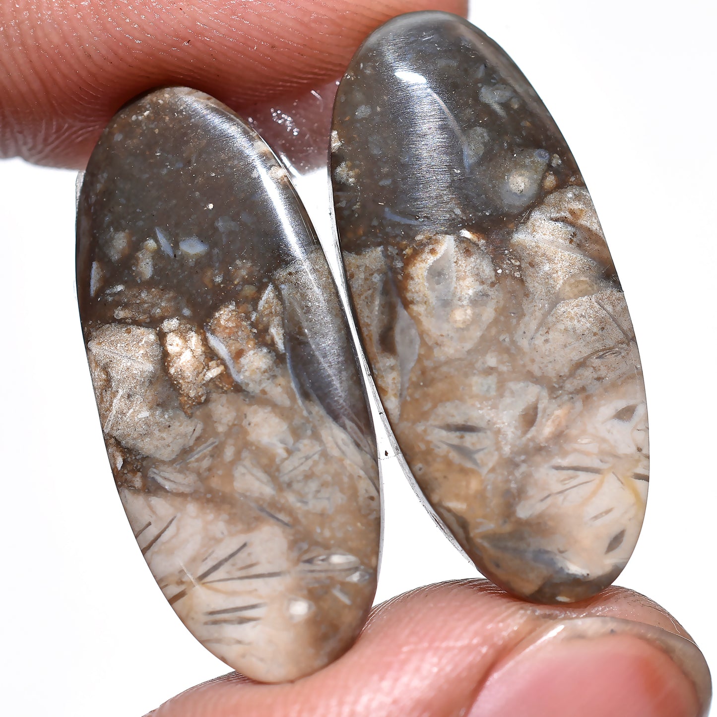Palm Root Agate Pair Cabochon - Matched Earring Pair Gemstones for Custom Jewelry