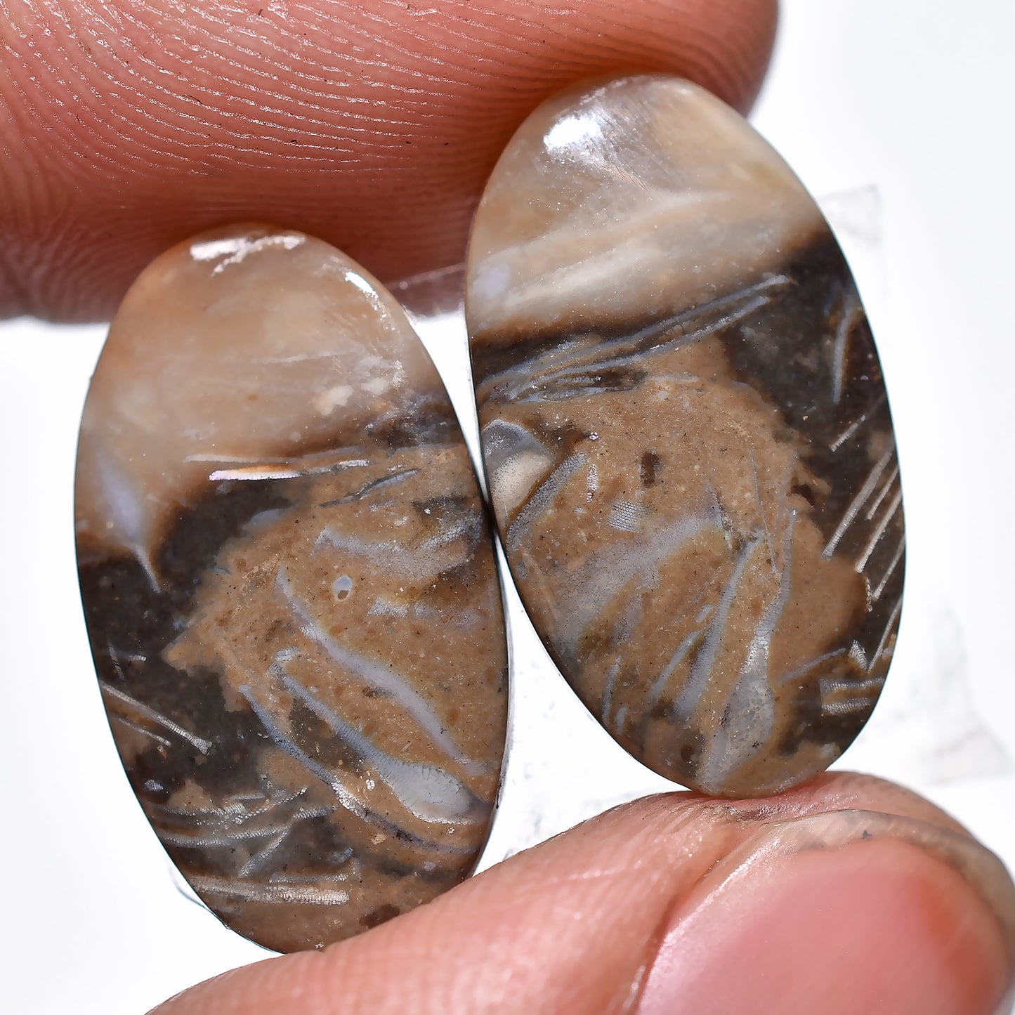 Palm Root Agate Pair Cabochon - Matched Earring Pair Gemstones for Custom Jewelry