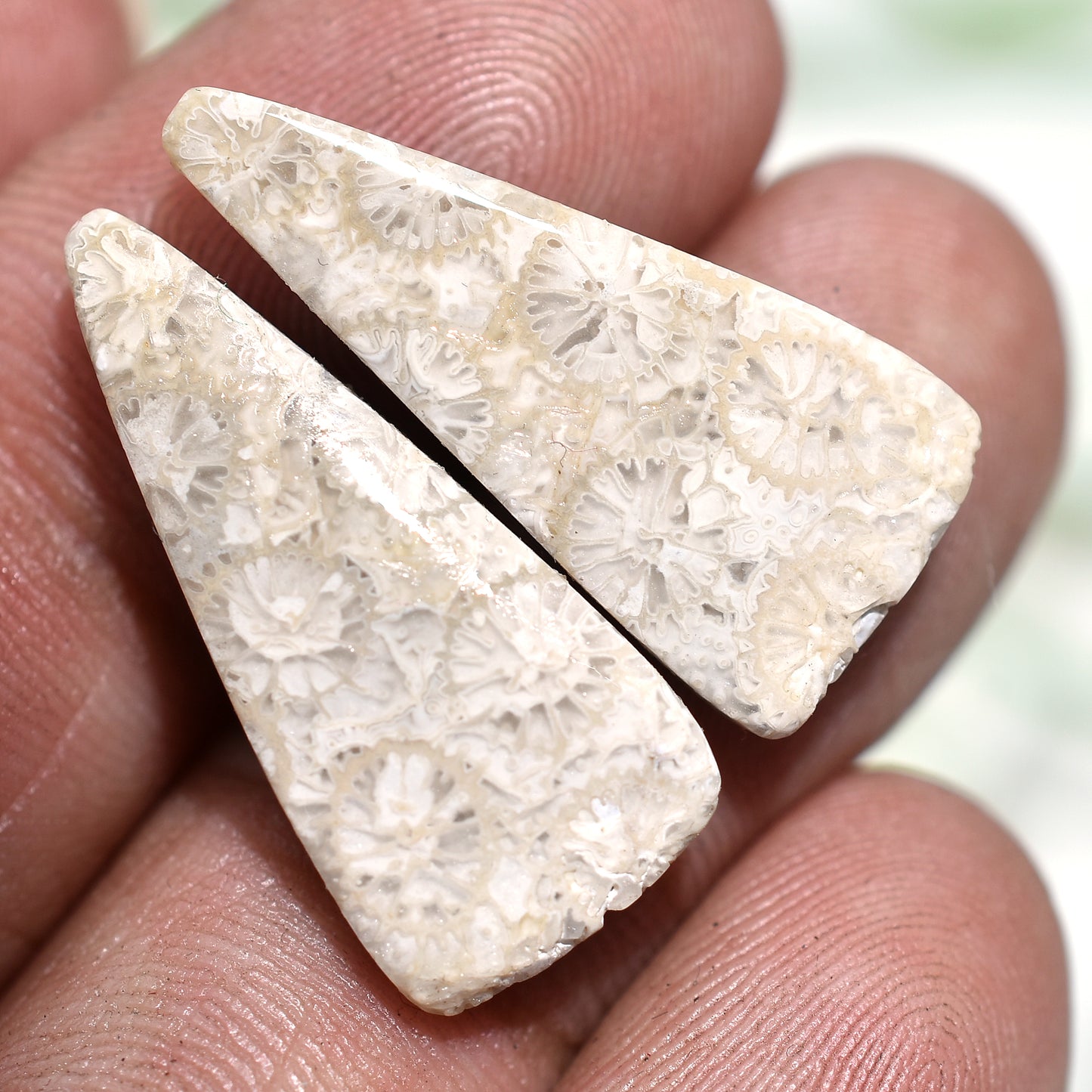 Stunning Fossil Coral Cabochons Pair - Polished Flat Back Gemstone Set for Earrings Making