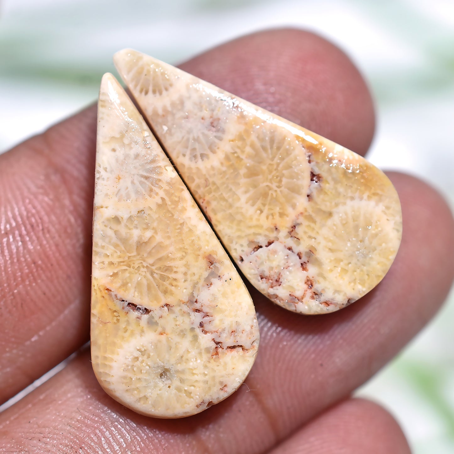 Natural Fossil Coral Pair Floral Pattern Polished Gemstone Cabochons for DIY