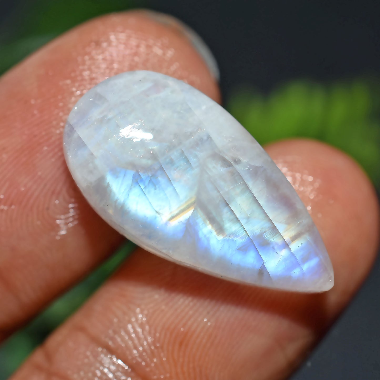 Polished Rainbow Moonstone Cabochon – Wholesale Teardrop Loose Gemstone for Rings & Pendants