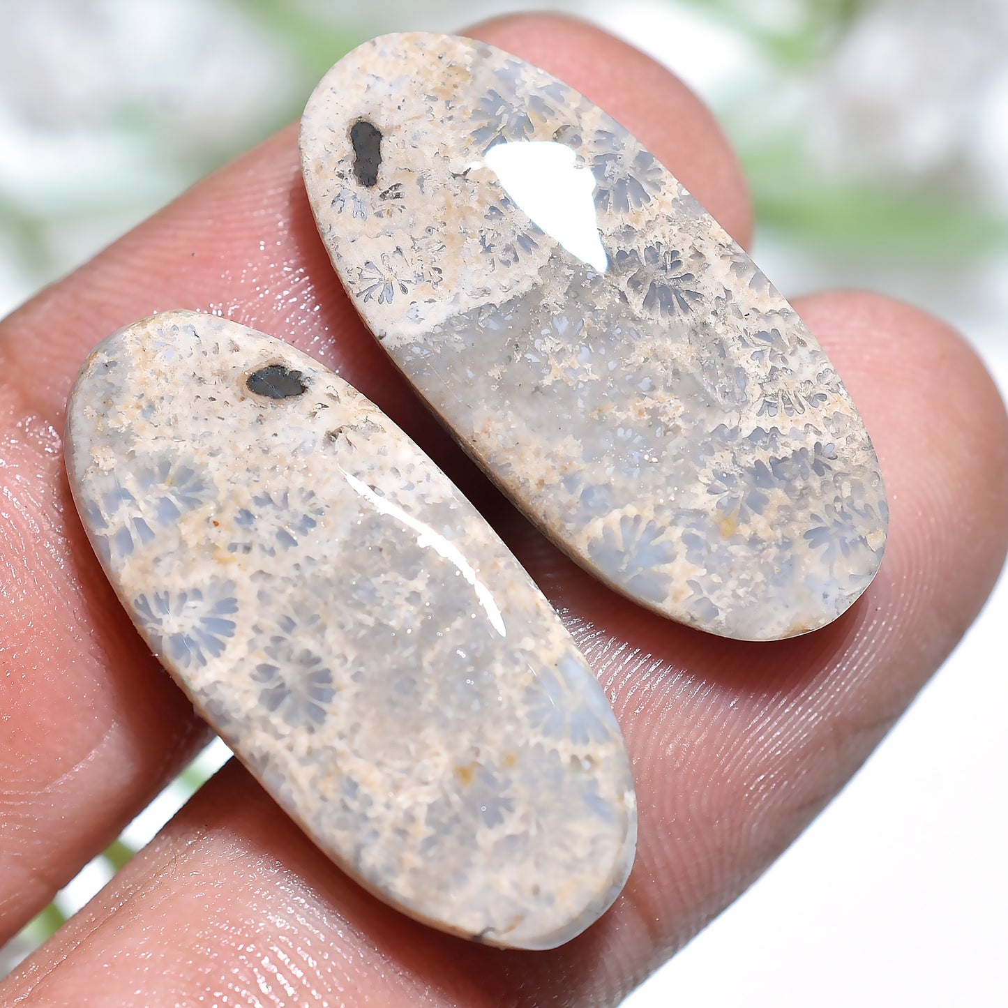 Natural Fossil Coral Matching Pair Cabochon - Flower Oval Shape for Earring Making