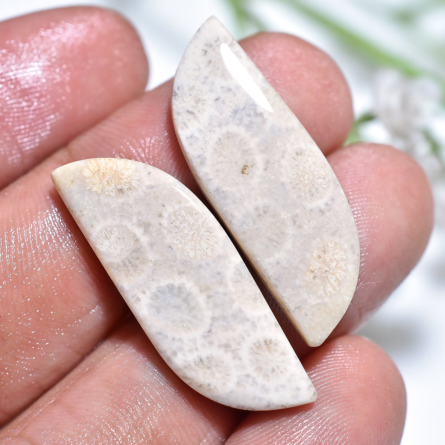 Unique Fossil Coral Jewelry Stones – Handcrafted Square Matching Pair