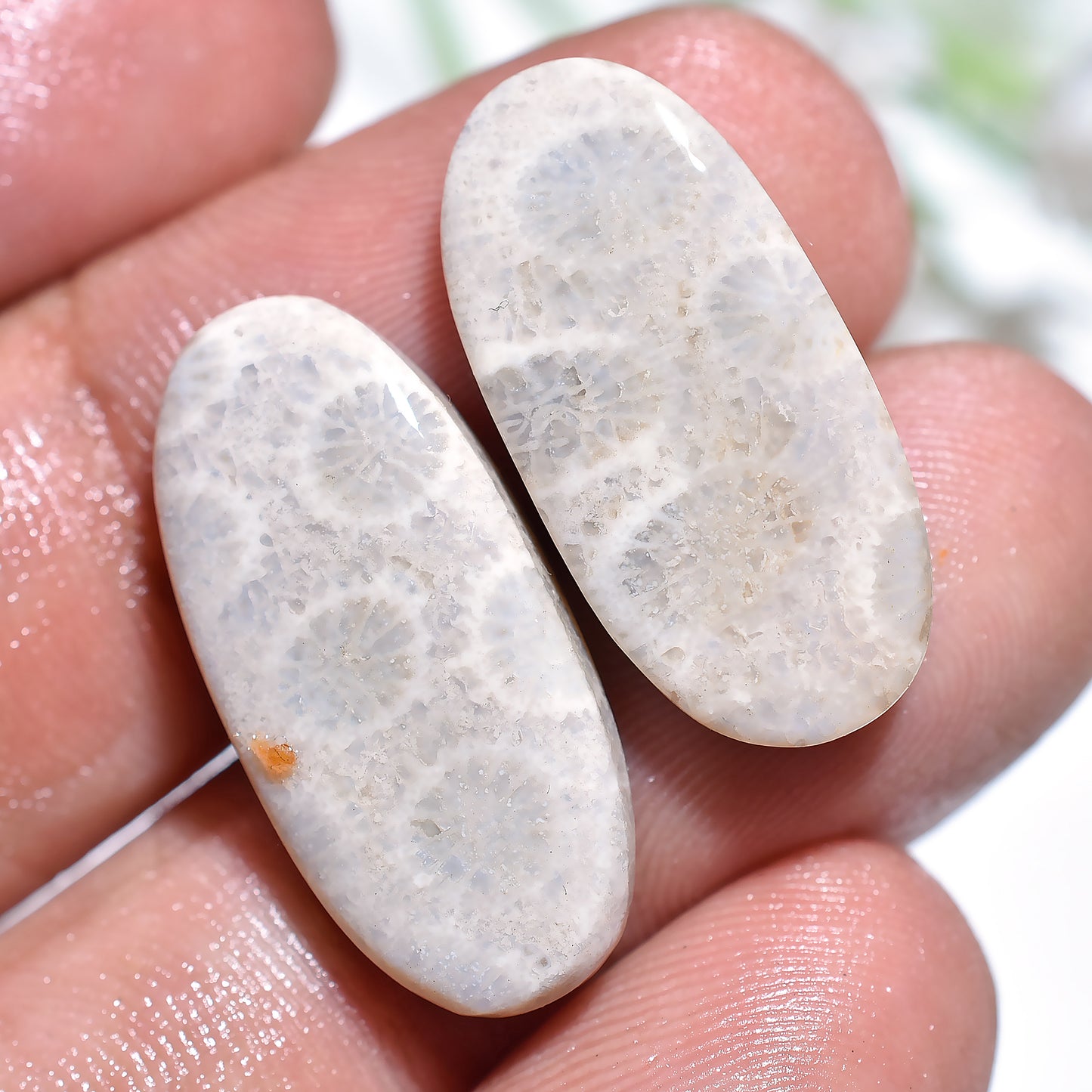 Wholesale Fossil Coral Cabochons Pair - Natural Floral Patterned Gemstone Set for Earrings Making (11x32x3mm,/30ct)