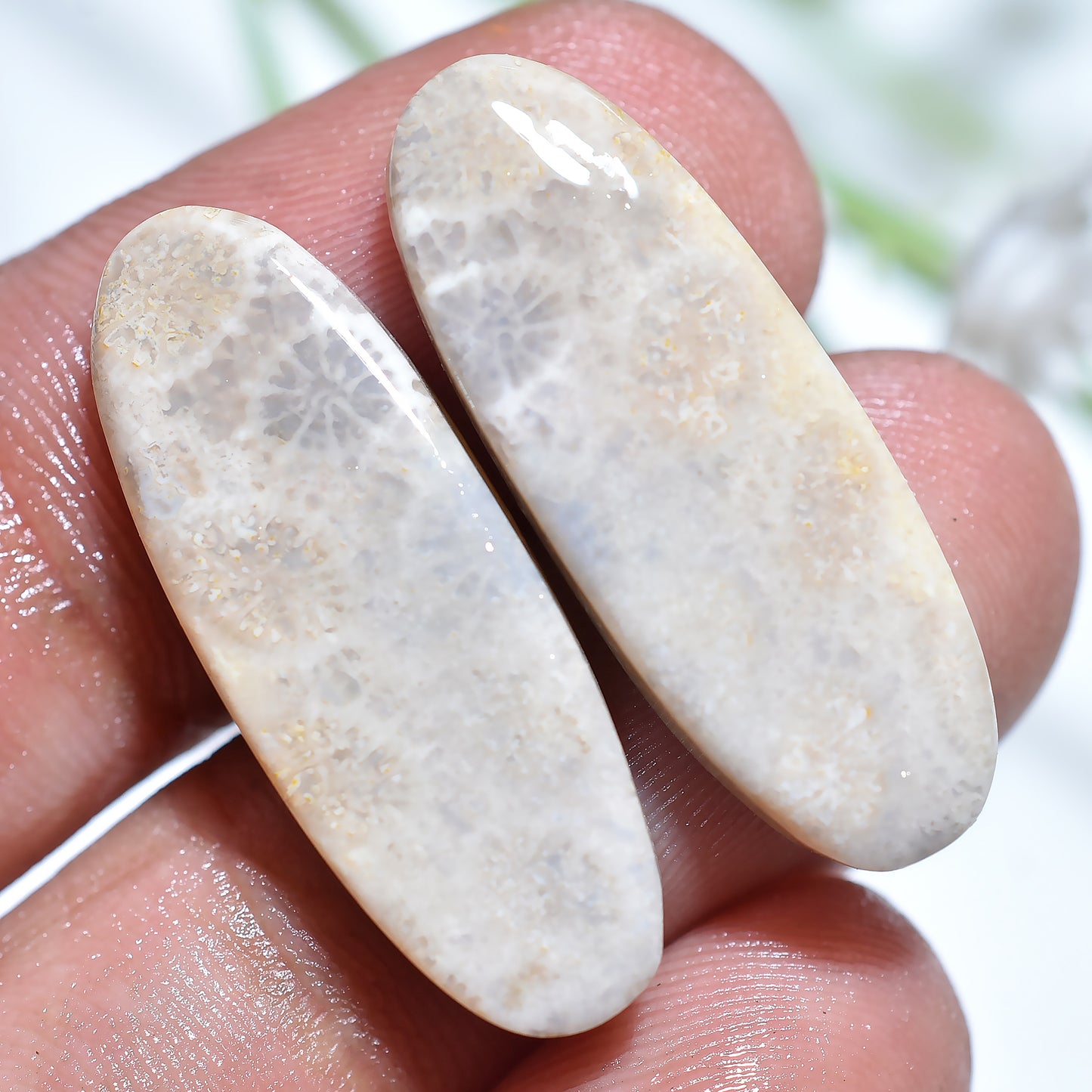 Amazing Flower Fossil Coral Pair - Loose Oval Fossil Coral Cabochons for Custom Earrings