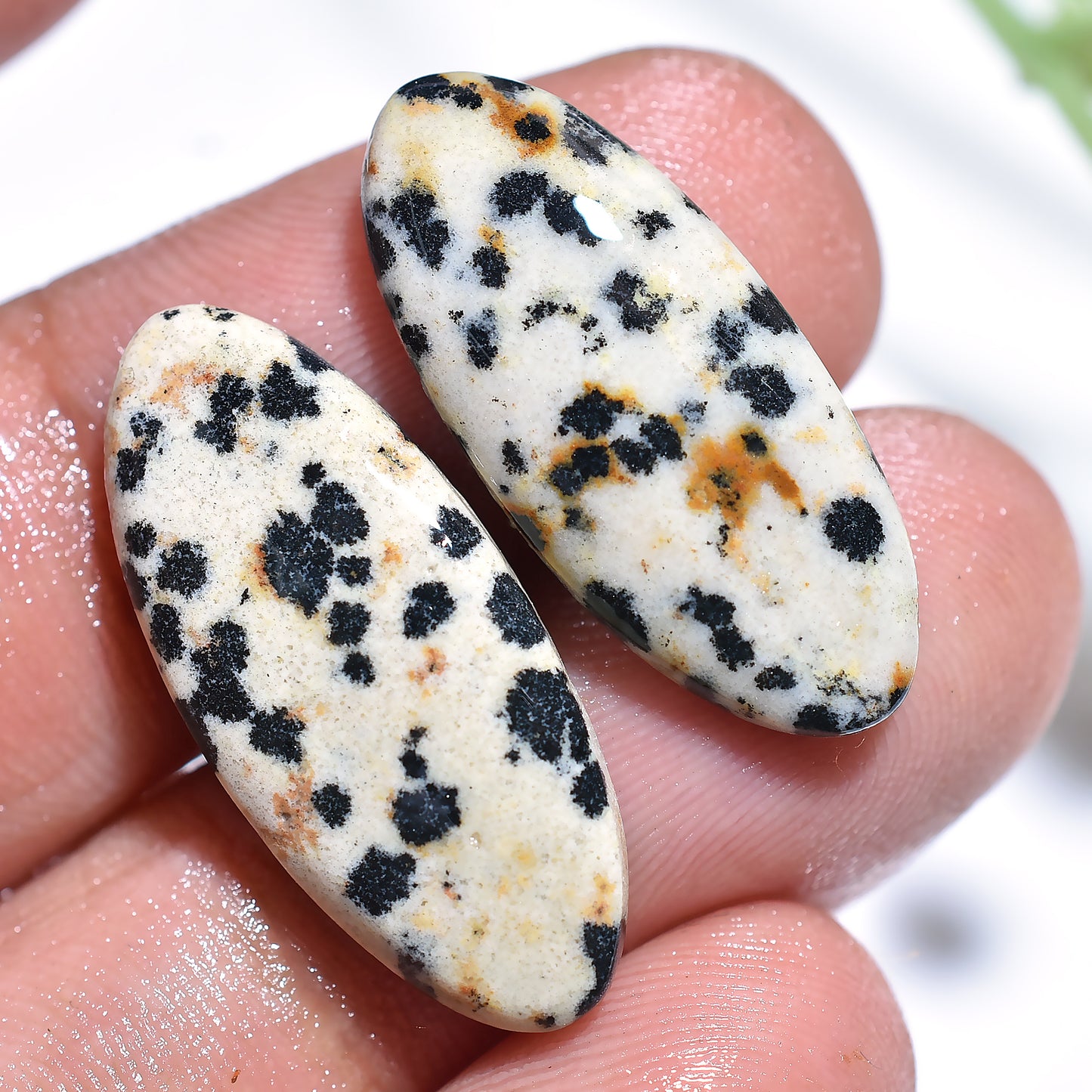 Oval Dalmatian Jasper Pair – Polished Gemstones for Earrings & Pendants