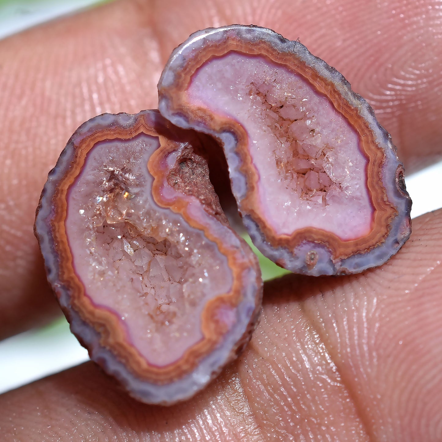 Brown Window Druzy Solar Quartz Pair – Unique Gemstones for Jewelry