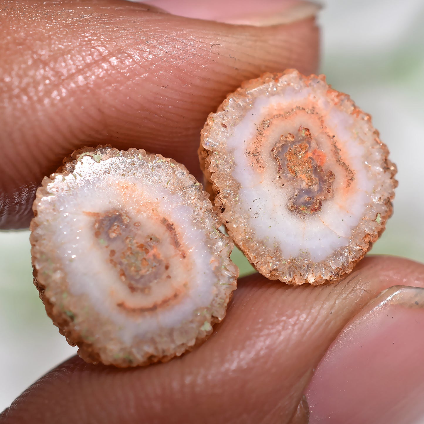 Beautiful! Solar Quartz Stalactite Slice Earrings Pair Stone (11x12x2mm,/9ct)