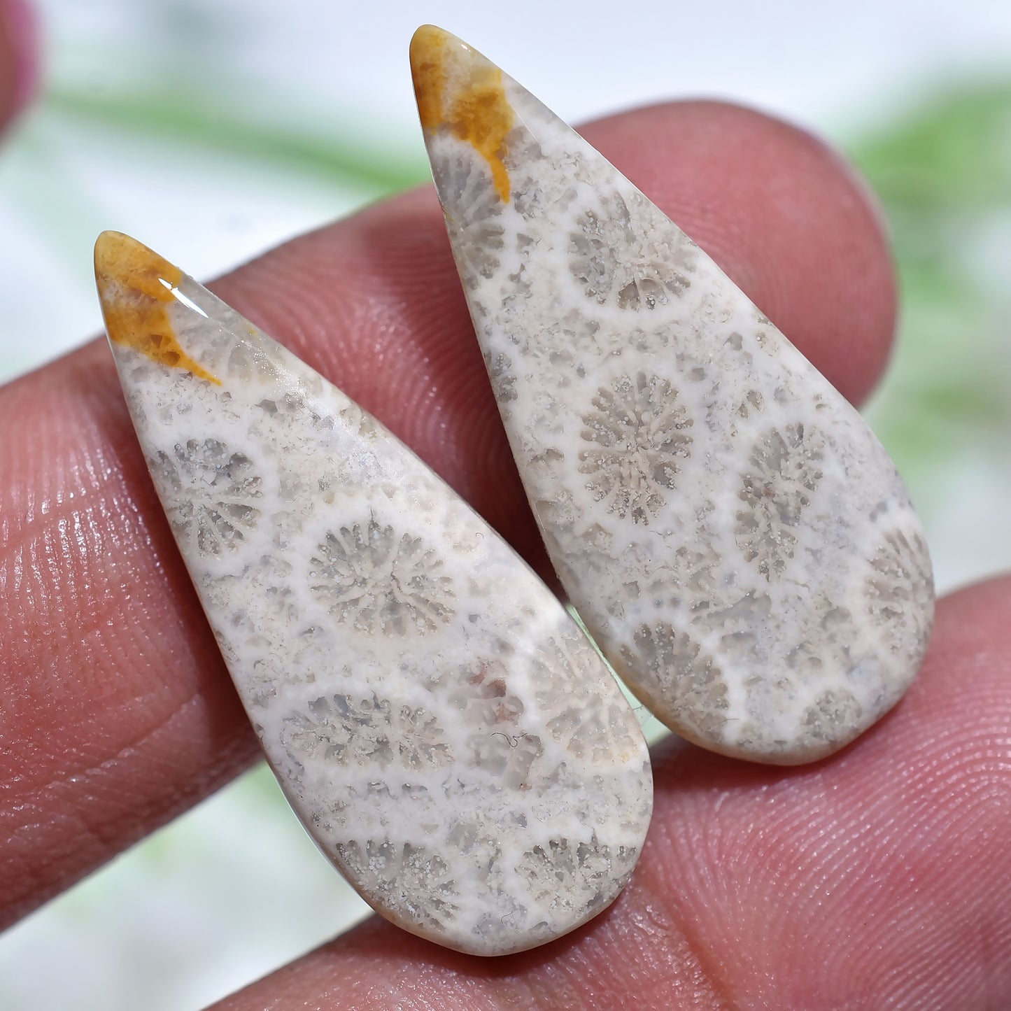 Natural Fossil Coral Pair Floral Pattern Polished Gemstone Cabochons for DIY