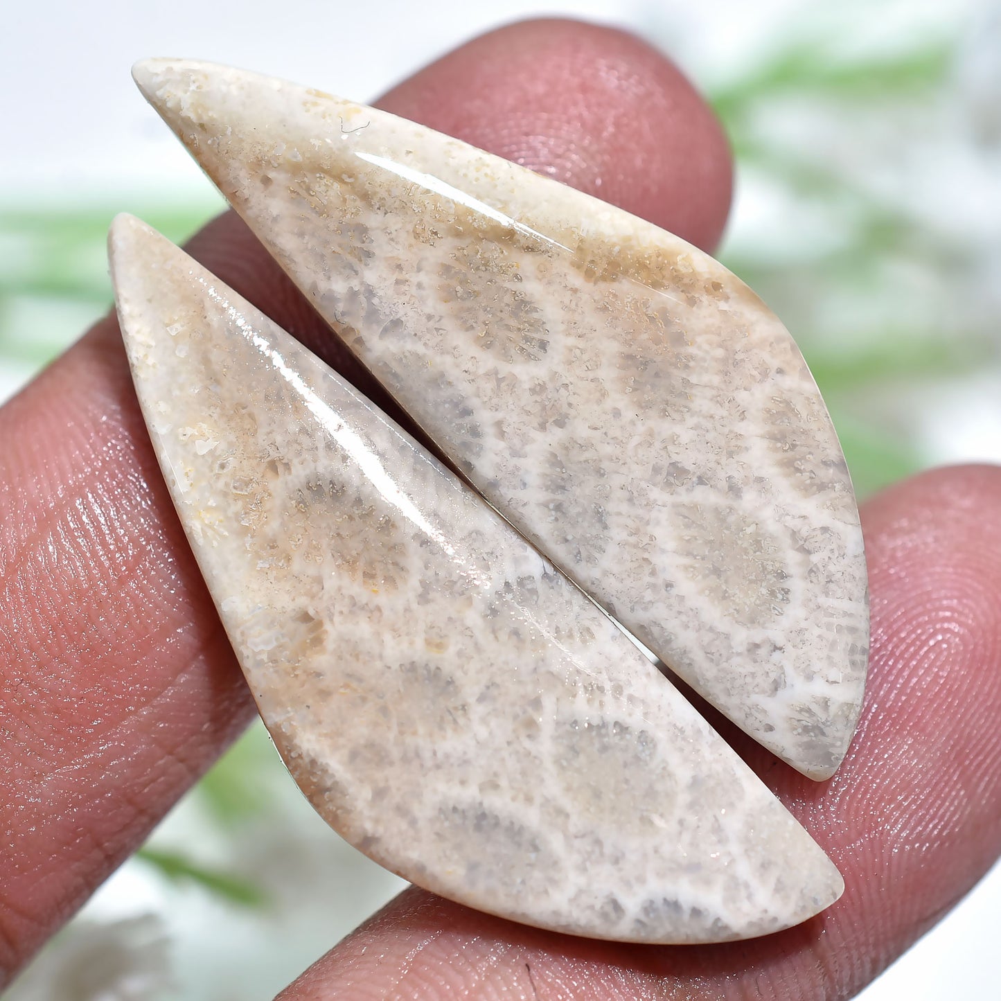 Natural Textured Fossil Coral Pair - Gemstone Cabochons Set for Earrings Making(13x40x3mm,/35ct)