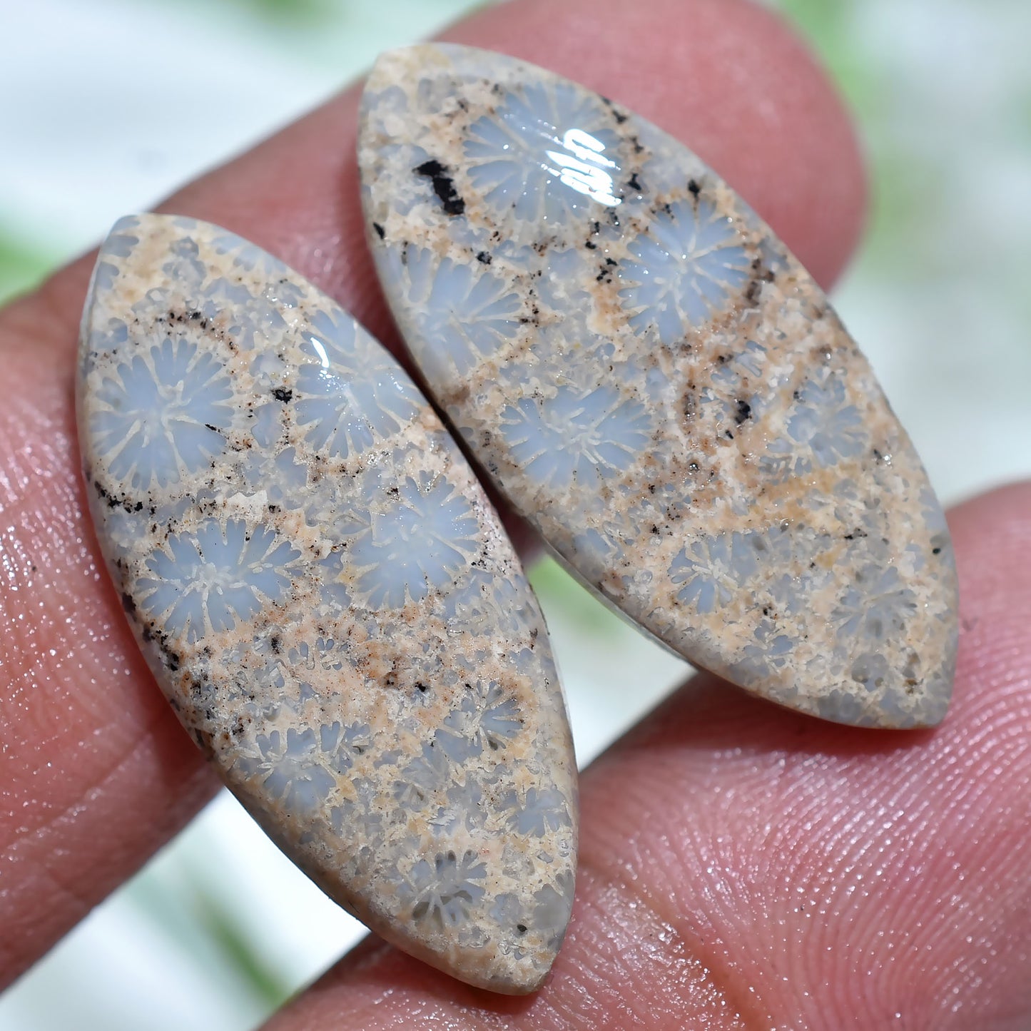 Elegant Floral Texture Fossil Coral Gemstone Pair - Marquise Cabochons Set for Jewelry Making(11x22x2mm,/18ct)