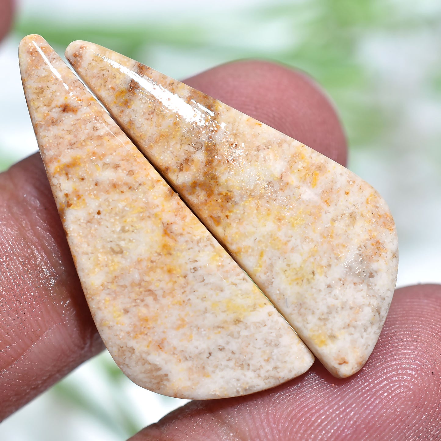 Wholesale Fossil Coral Gemstone Pair - Polished Fancy Cabochons Set for Jewelry Making(10x32x2mm,/20ct)