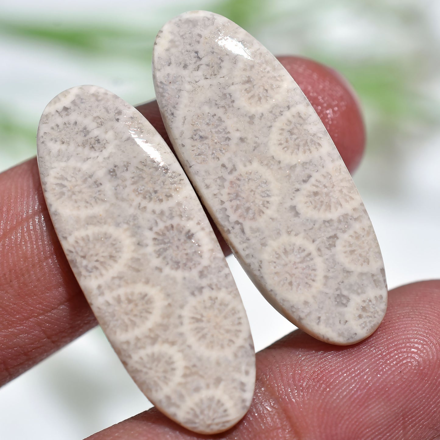 Exquisite Fossil Coral Cabochon Set – Rare Organic Jewelry Stones