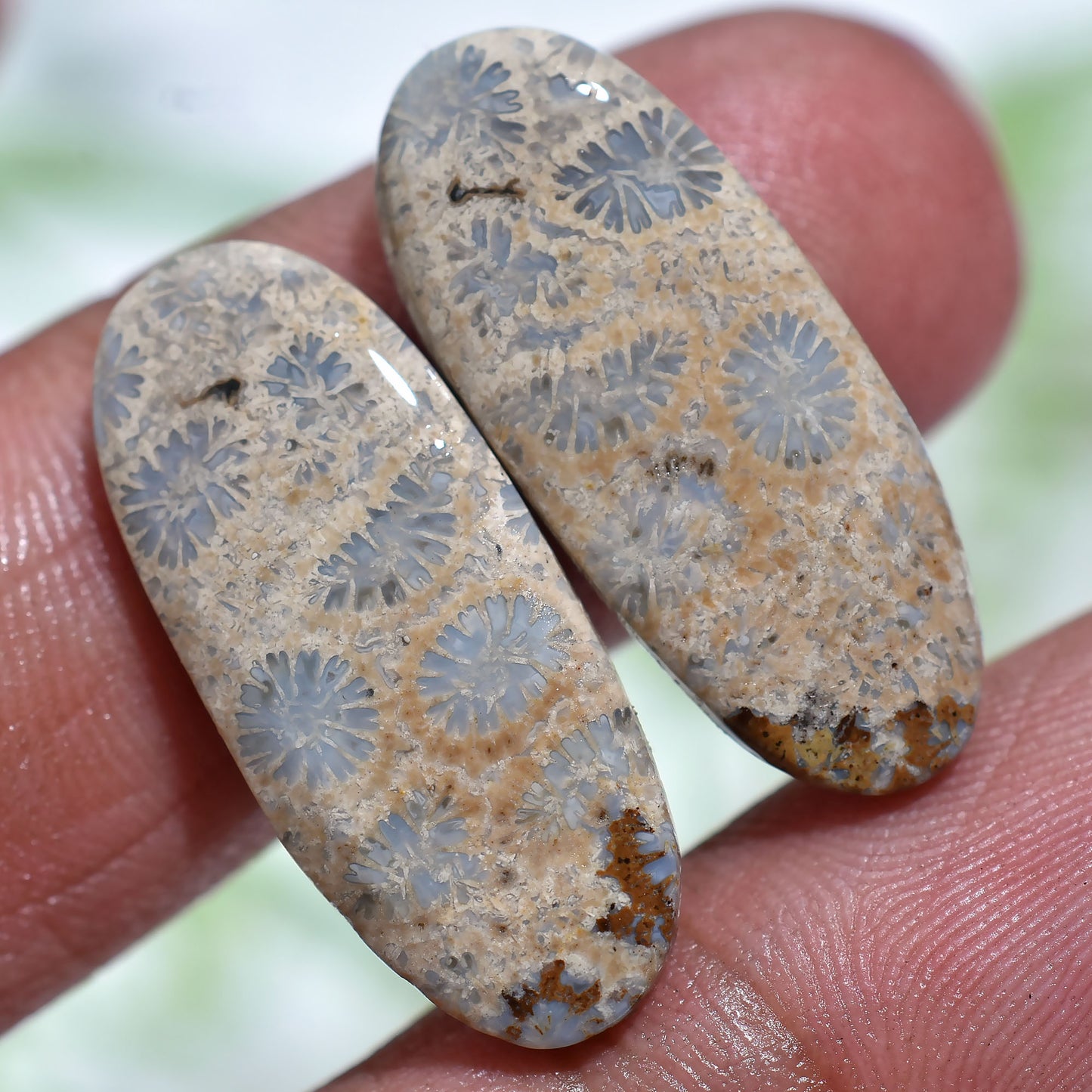 Designer Fossil Coral Matching Pair – Elegant Jewelry Creations(10x24x2mm,/18ct)