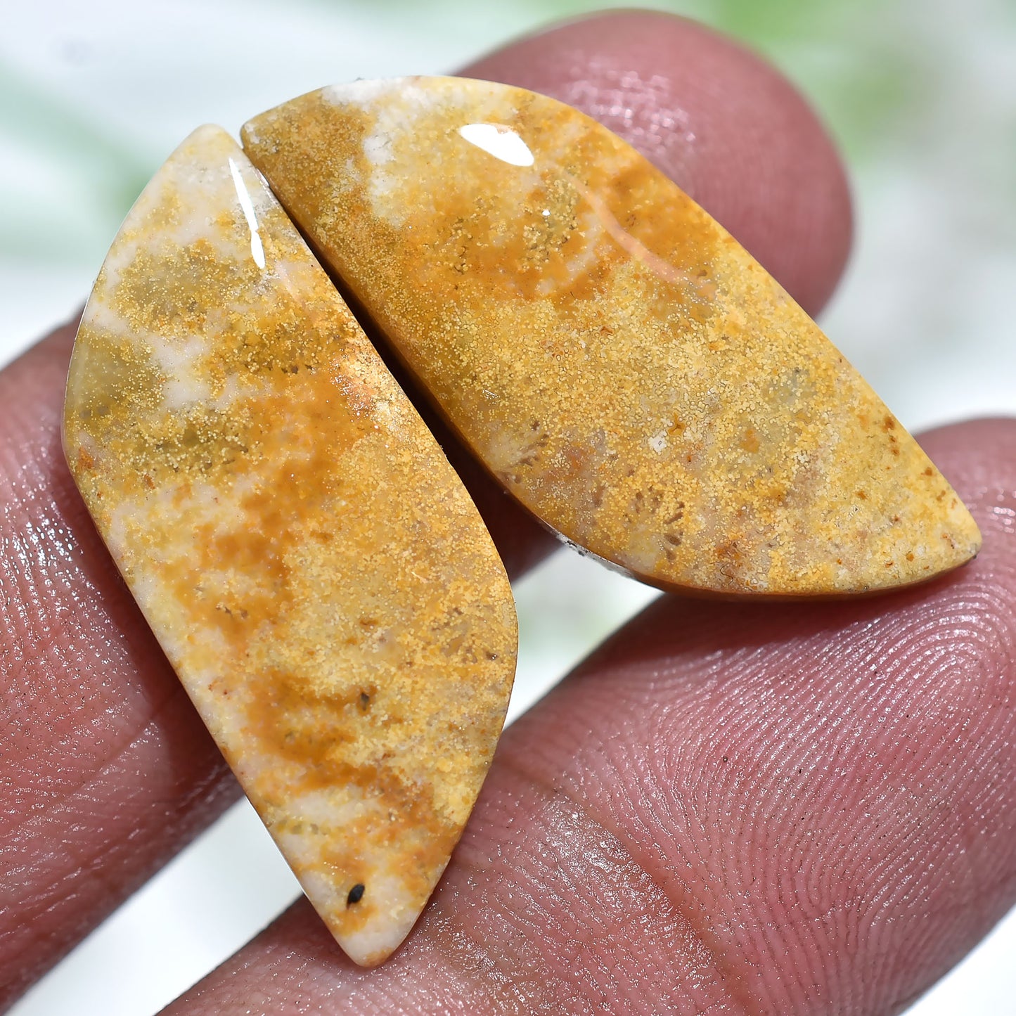 Fossil Coral Jewelry Supplies – Matched Pair Cabochons for Earrings(12x30x3mm,/23ct)