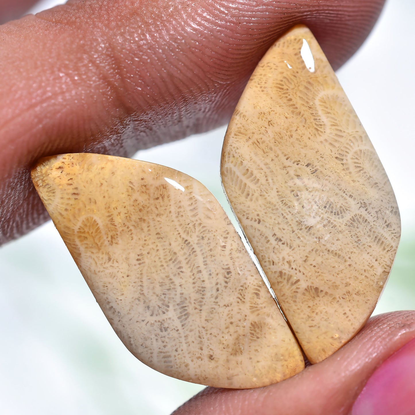 Unique Fossil Coral Gemstones – Matched Teardrop Cabochon Set(10x27x2mm,/22ct)