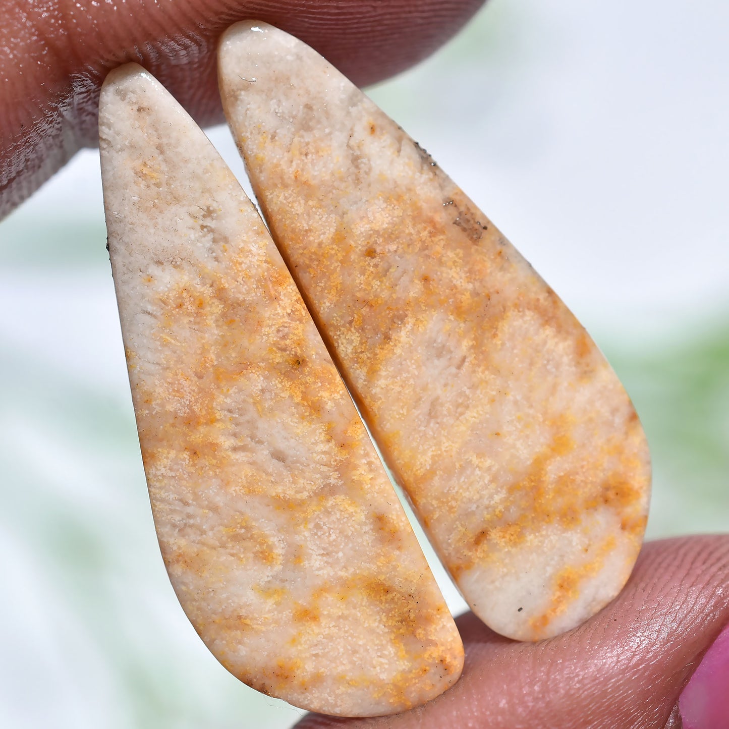 Natural Fossil Coral Matched Pair – Exquisite Teardrop Cabochons(12x32x2mm,/23ct)