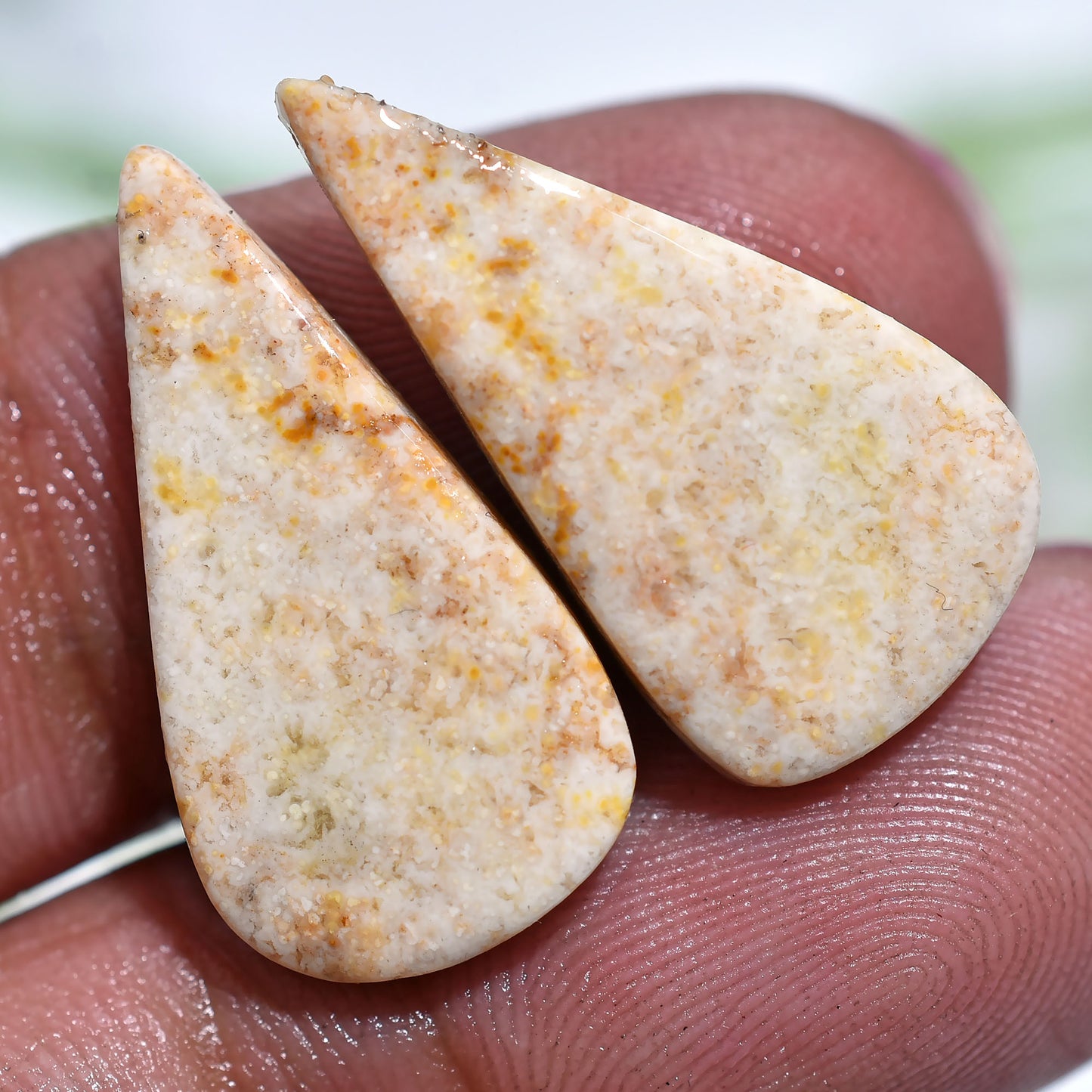 Wholesale Fossil Coral Cabochons – Unique Jewelry-Making Pair(11x20x3mm,/14ct)