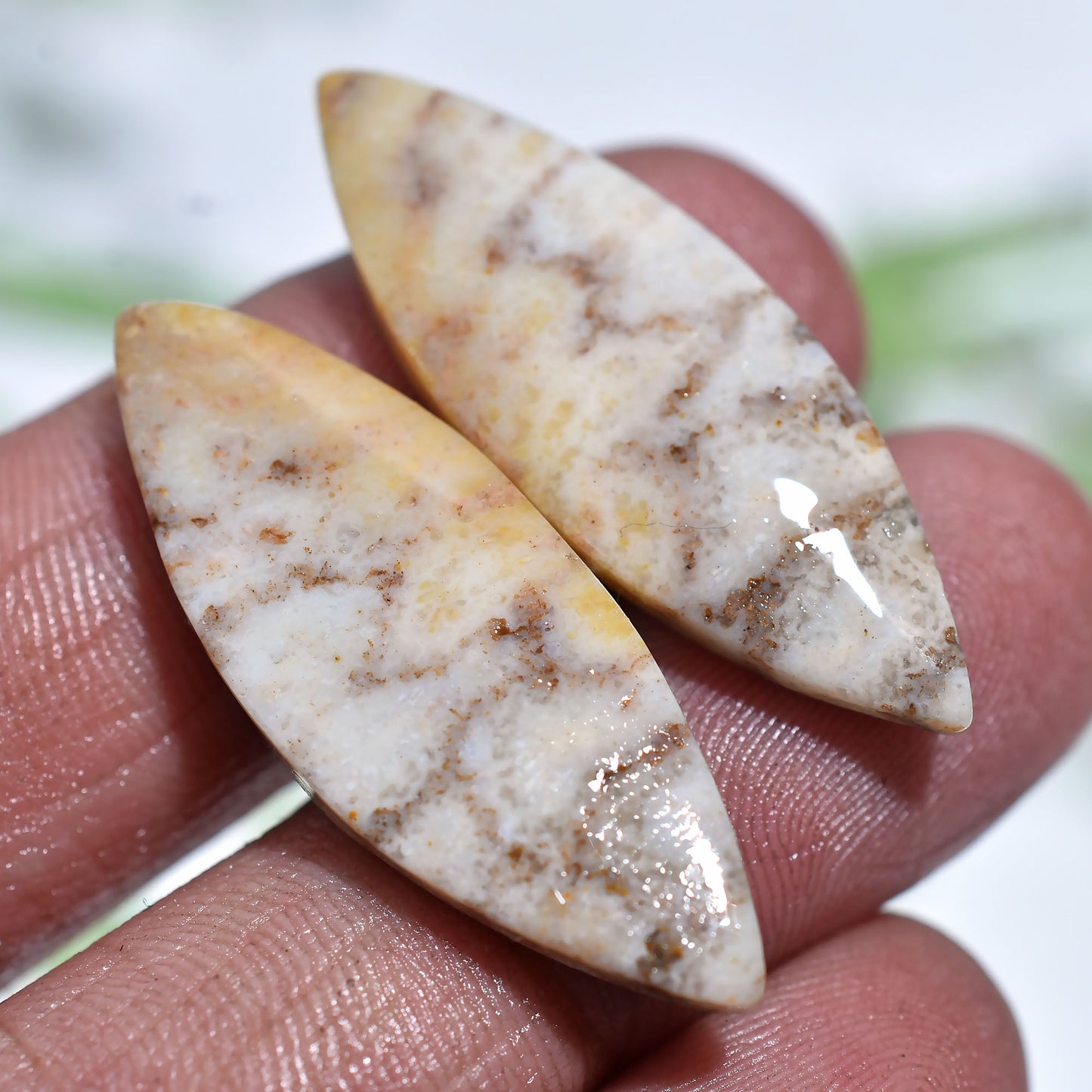 Handcrafted Fossil Coral Earrings Pair – Designer Gemstone Set(11x33x3mm,/29ct)