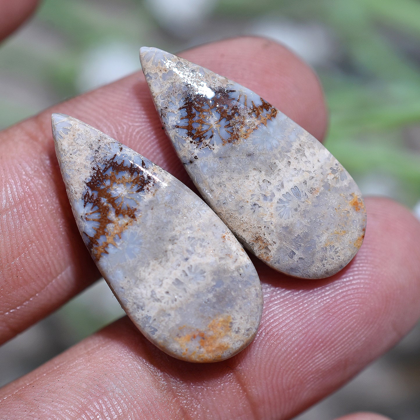 Ocean Memory Fossil Coral Stone Set – Wholesale Polished Gemstone pair for Earrings