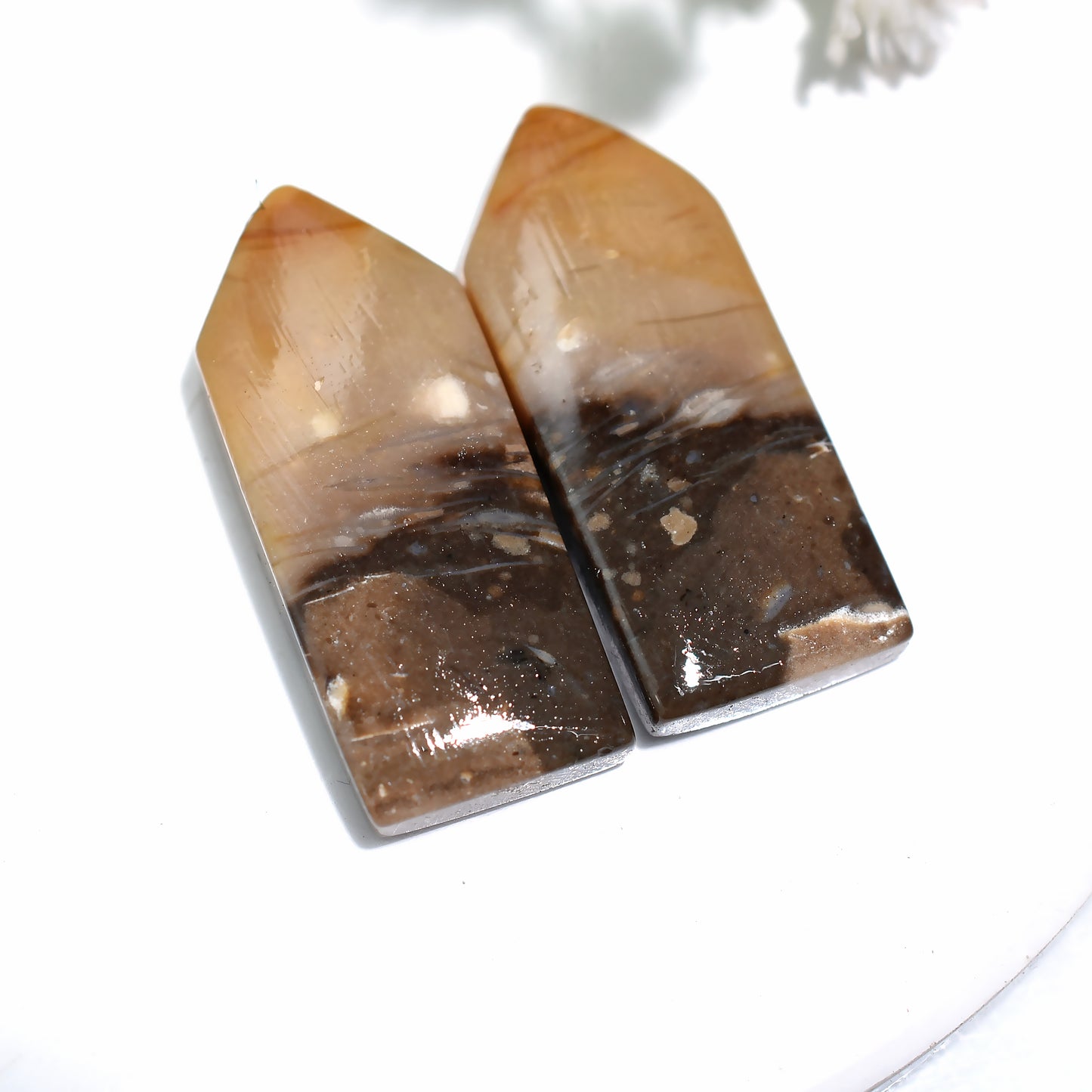 Ancient Earth Palm Root Gemstones Pair – Wholesale Polished Stones with Natural Patterns