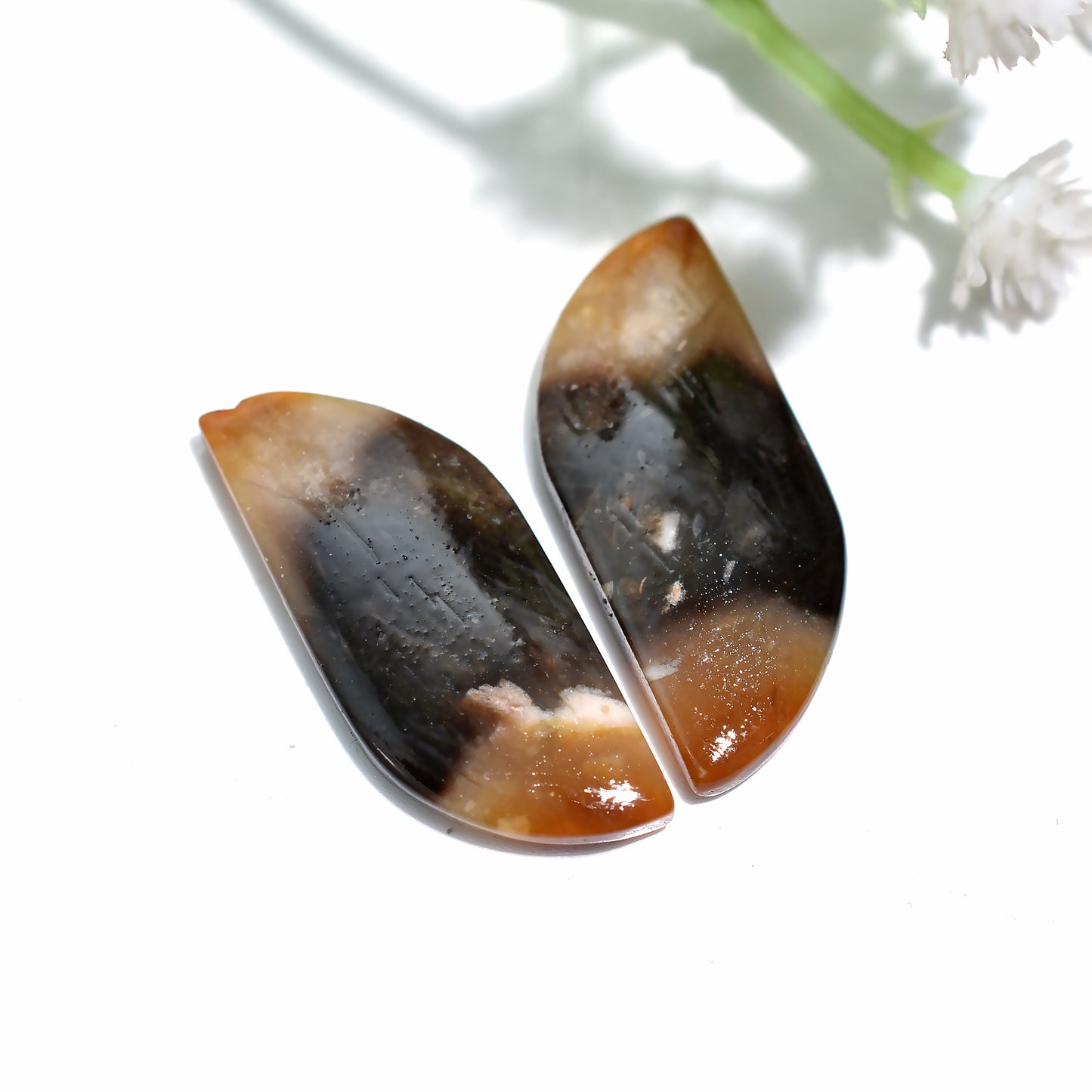 Stone Forest Palm Root Stone Set – Natural Wholesale Gemstone Pair for Jewellery