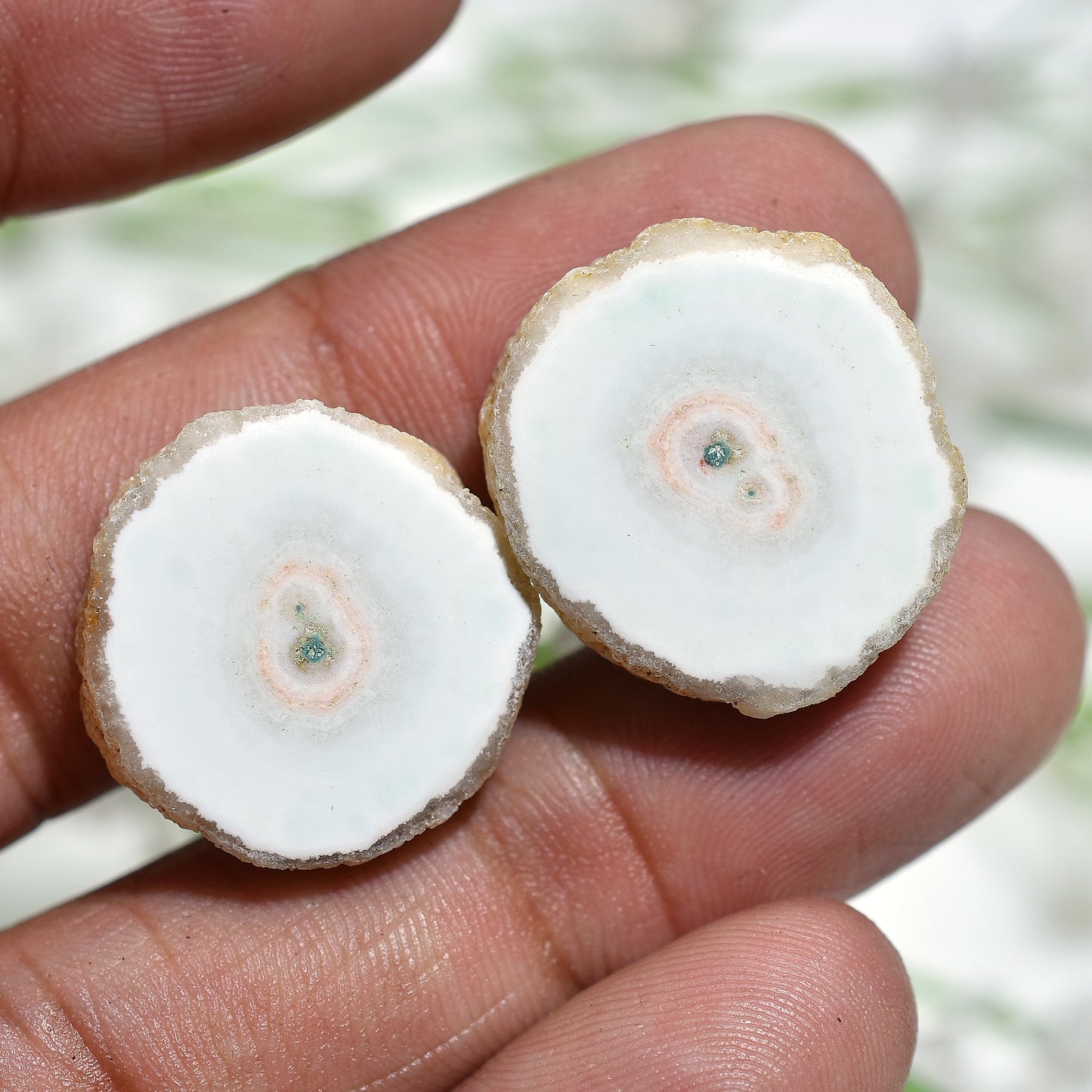 Celestial White Solar Quartz Stalactite Gemstone Pair – Unique Slices for Artisan Earrings