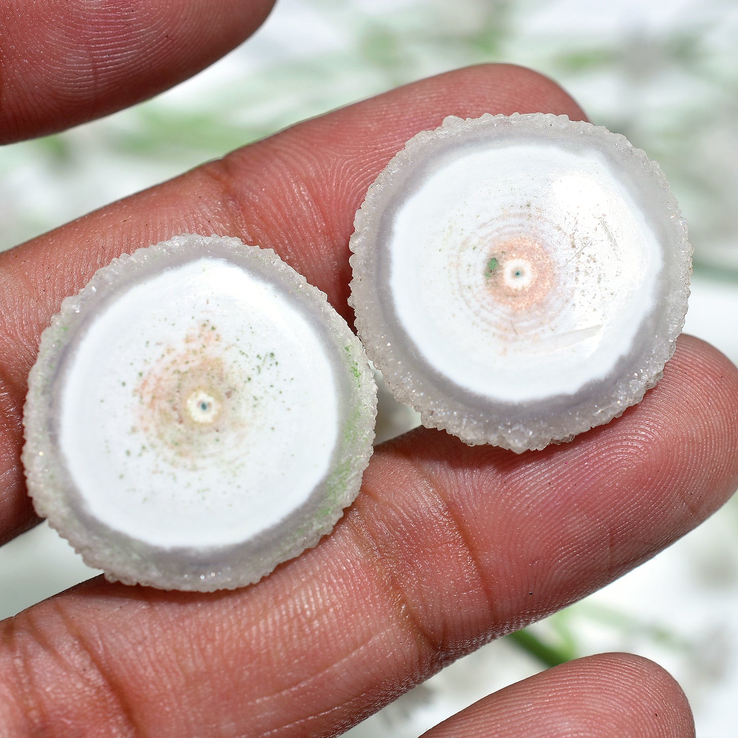 White Cosmic Solar Quartz Gemstone Pair – Raw Slice Geodes for Spiritual Jewelry Making