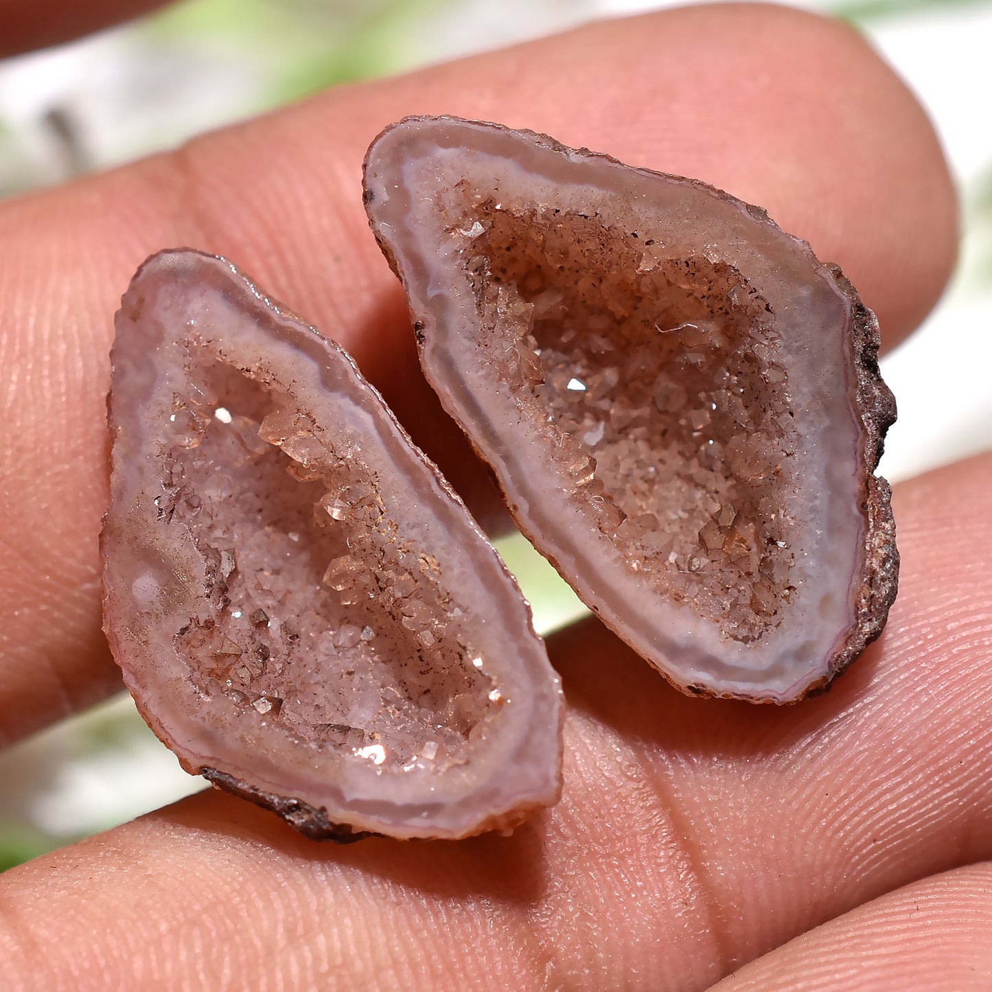 Brown Window Druzy Solar Quartz Pair – Unique Gemstones for Jewelry