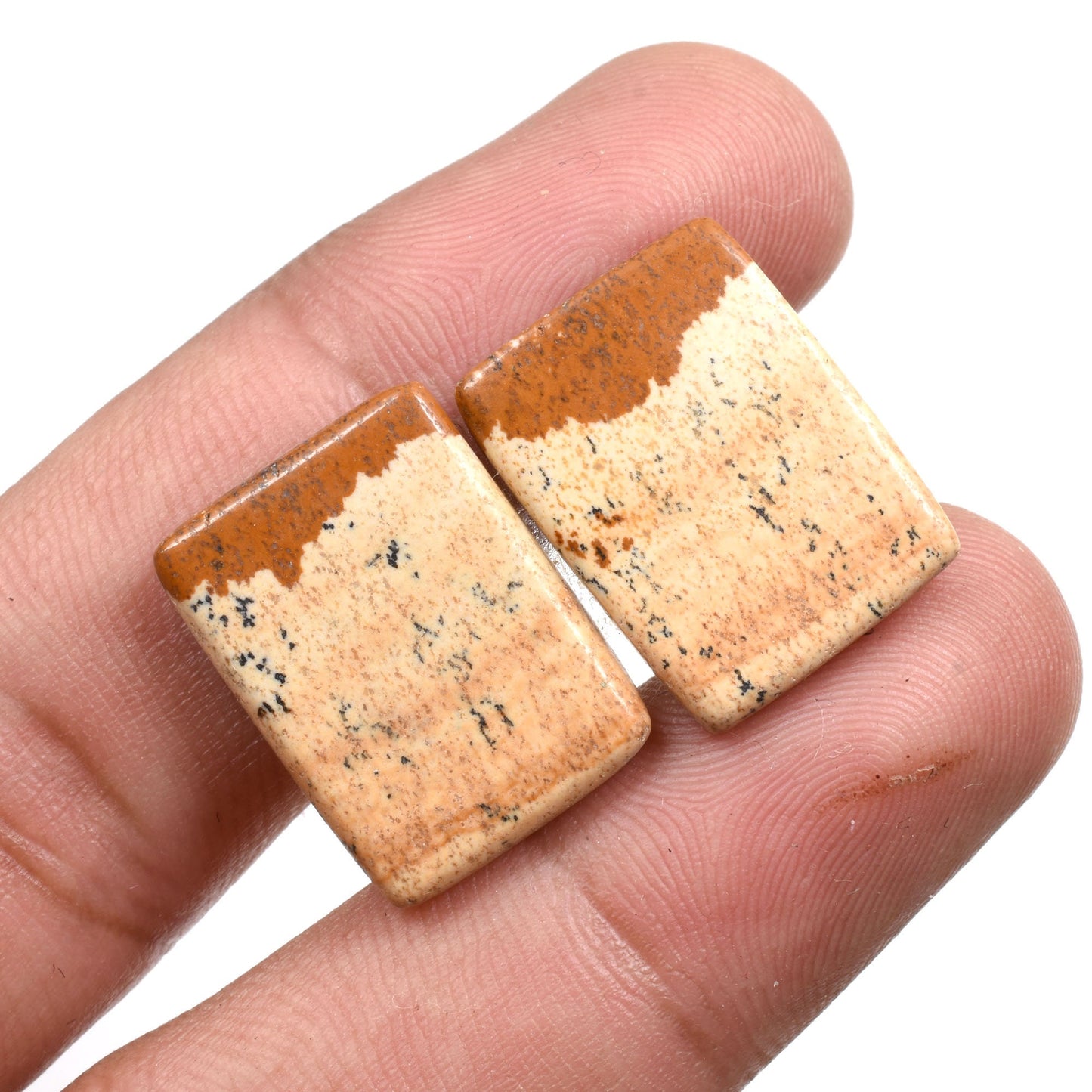 Stunning Picture Jasper Earrings Pair - Mix Shape Jasper Cabochon Gemstone