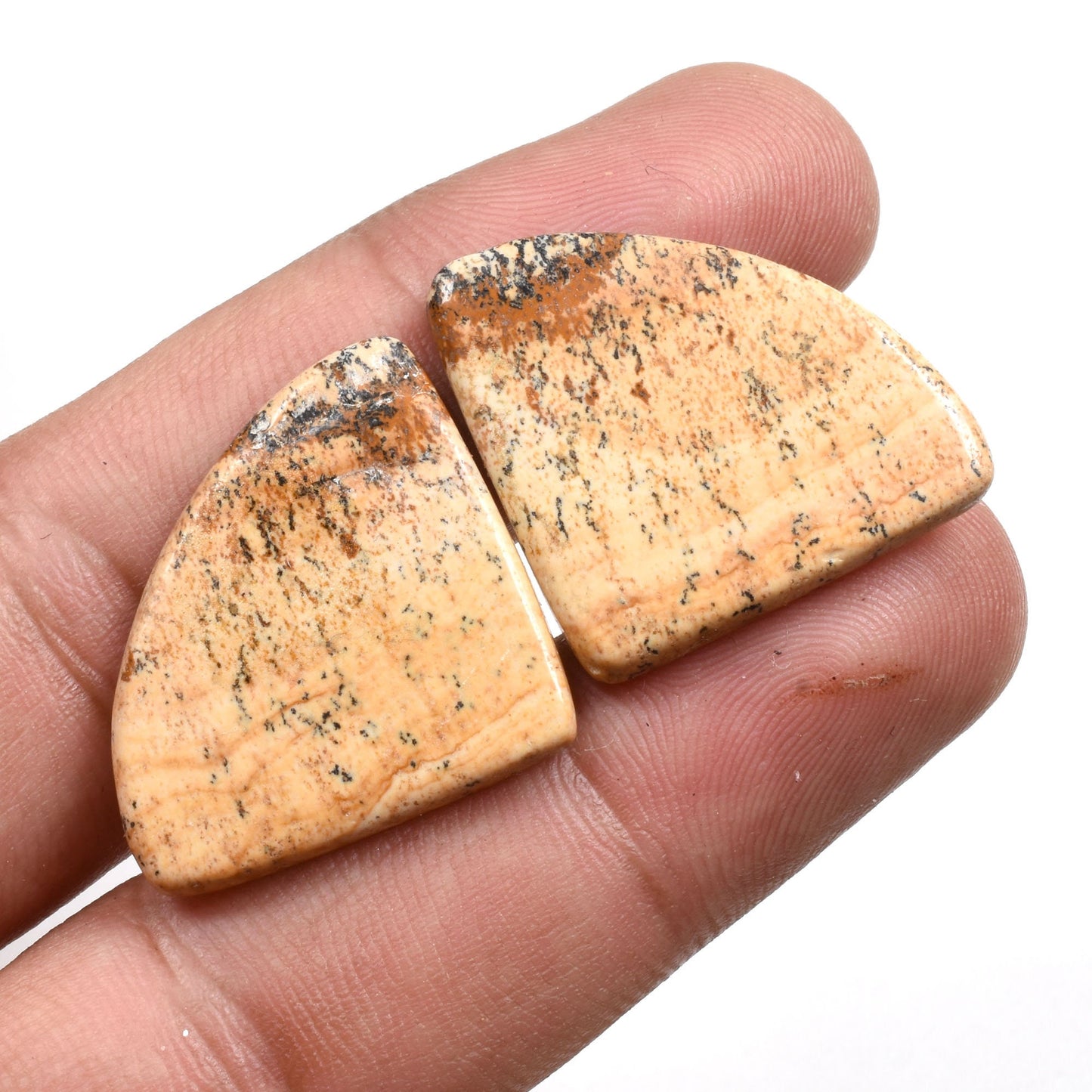 Stunning Picture Jasper Earrings Pair - Mix Shape Jasper Cabochon Gemstone