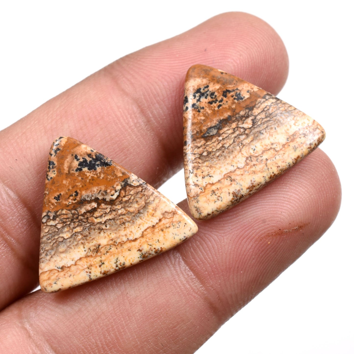 Stunning Picture Jasper Earrings Pair - Mix Shape Jasper Cabochon Gemstone