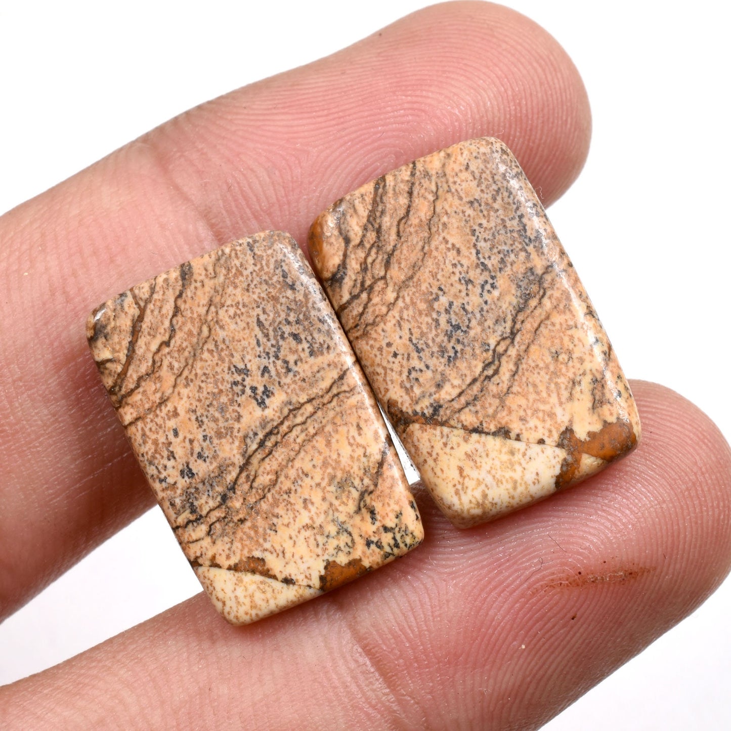 Oval Picture Jasper Gemstone Pair - Matched Cabochons for Earrings & Wholesale Jewelry
