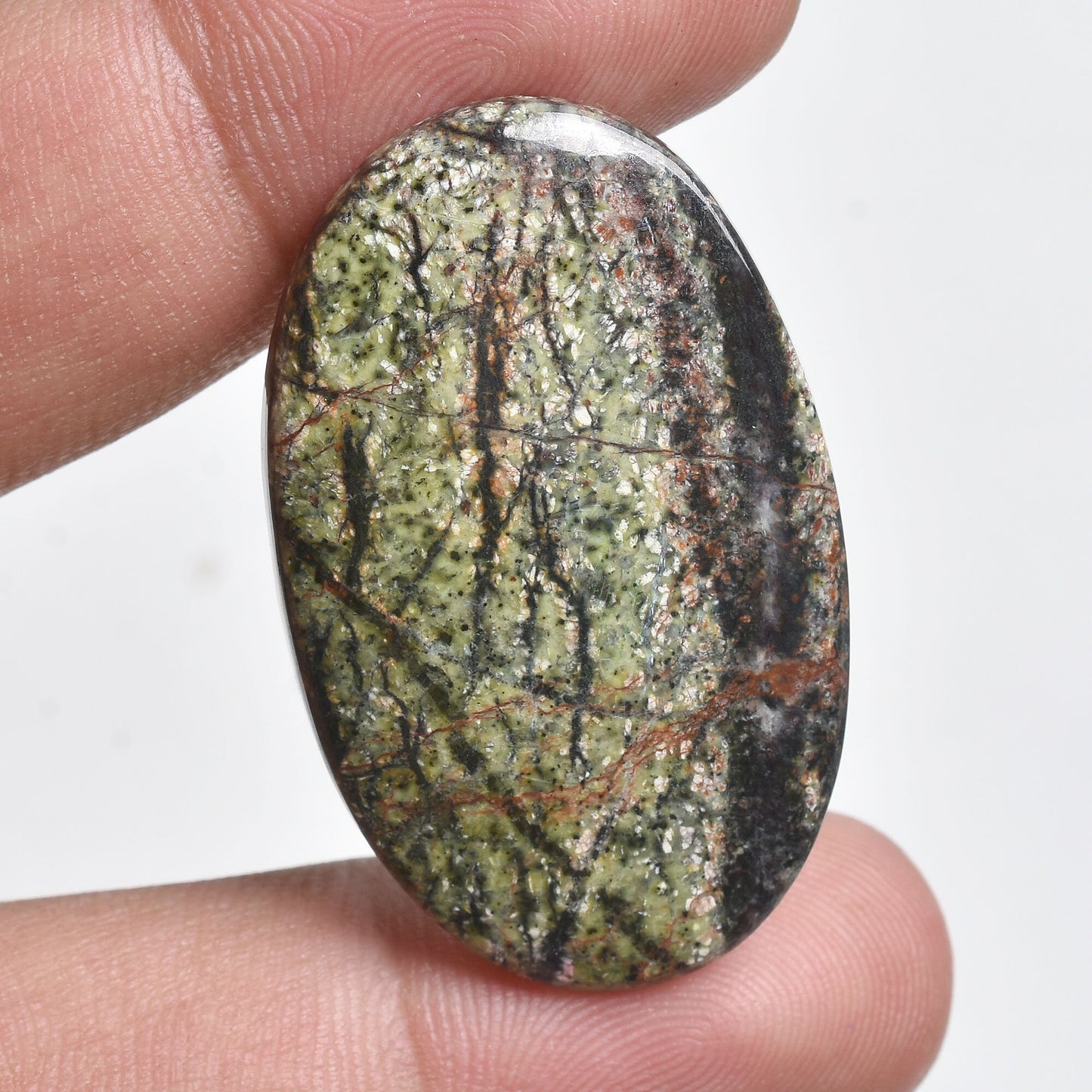 Natural Green Lizard Skin Jasper - Smooth Polished Loose Gemstone Cabochon