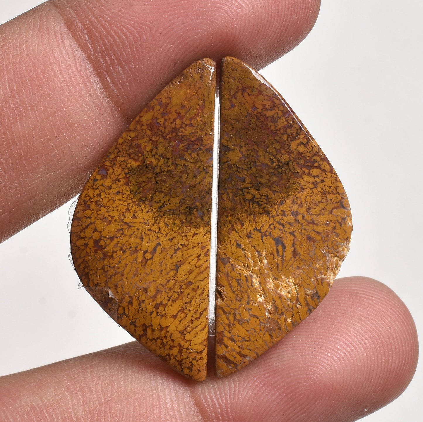 Rare Seam Agate Pair Cabochon - Fancy Shape Polished Loose Designer Crystal