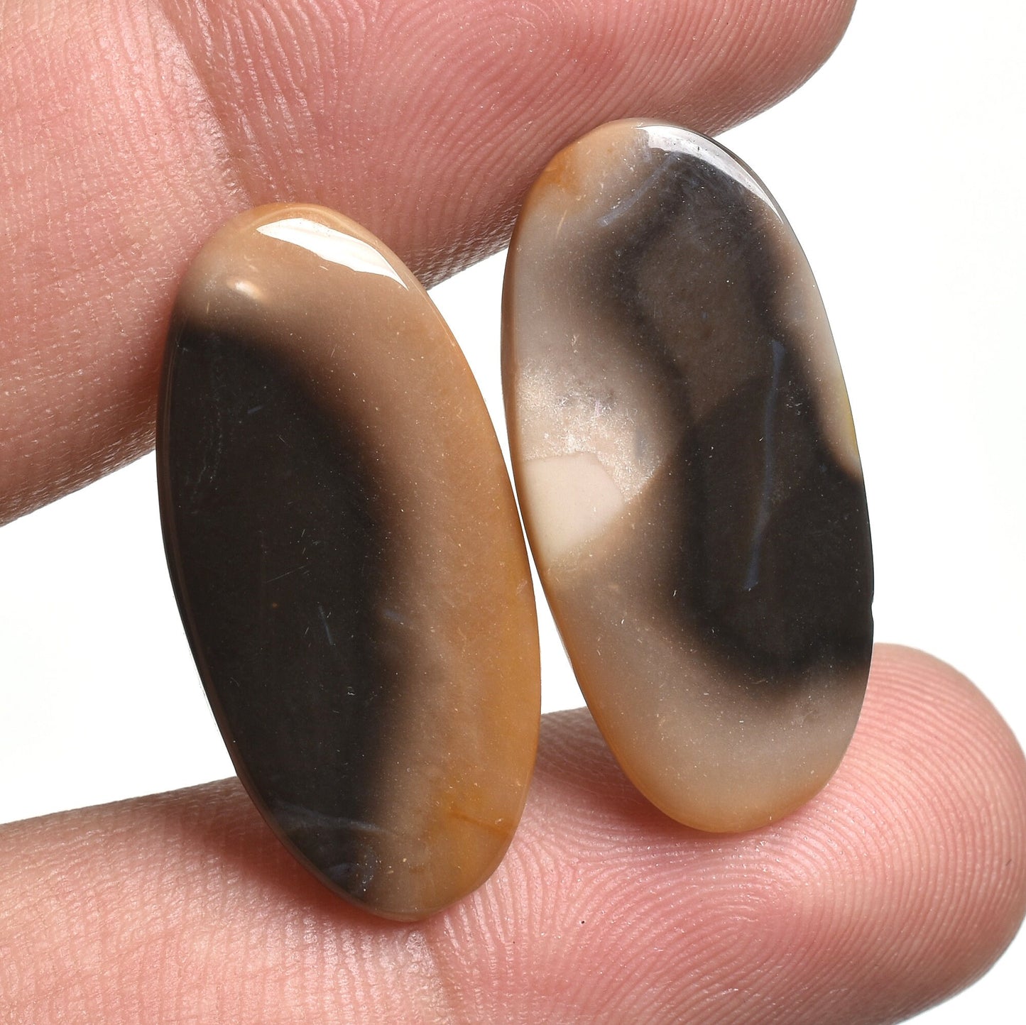 Exquisite Palm Root Agate Cabochons - Natural Loose Gemstone Pair for Earrings