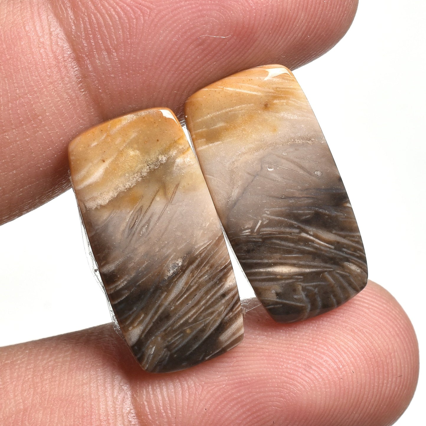 Exquisite Palm Root Agate Cabochons - Natural Loose Gemstone Pair for Earrings