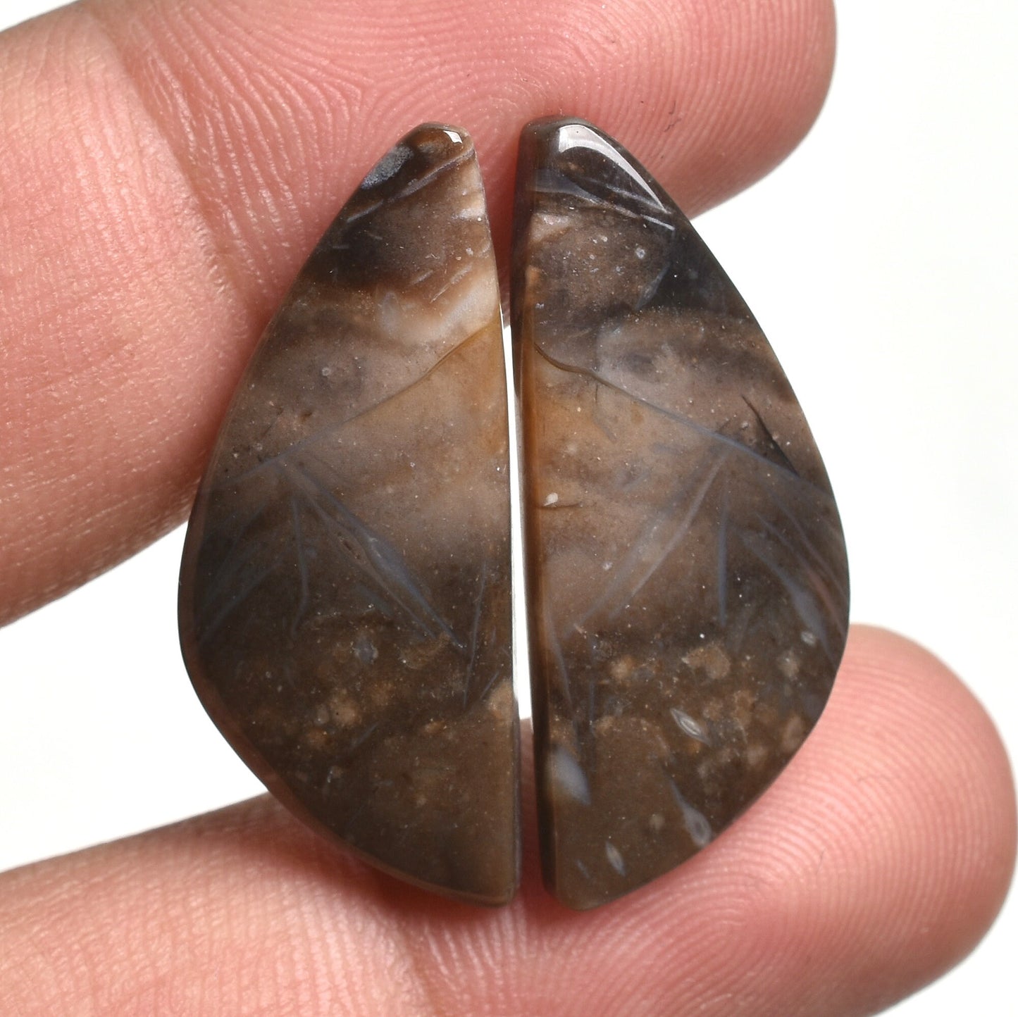 Exquisite Palm Root Agate Cabochons - Natural Loose Gemstone Pair for Earrings