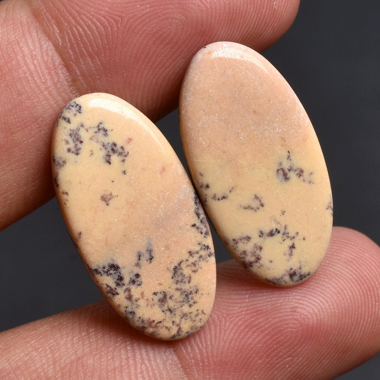 Picture Jasper Mixed Shape Loose Stones for Earrings - Wholesale Pairs