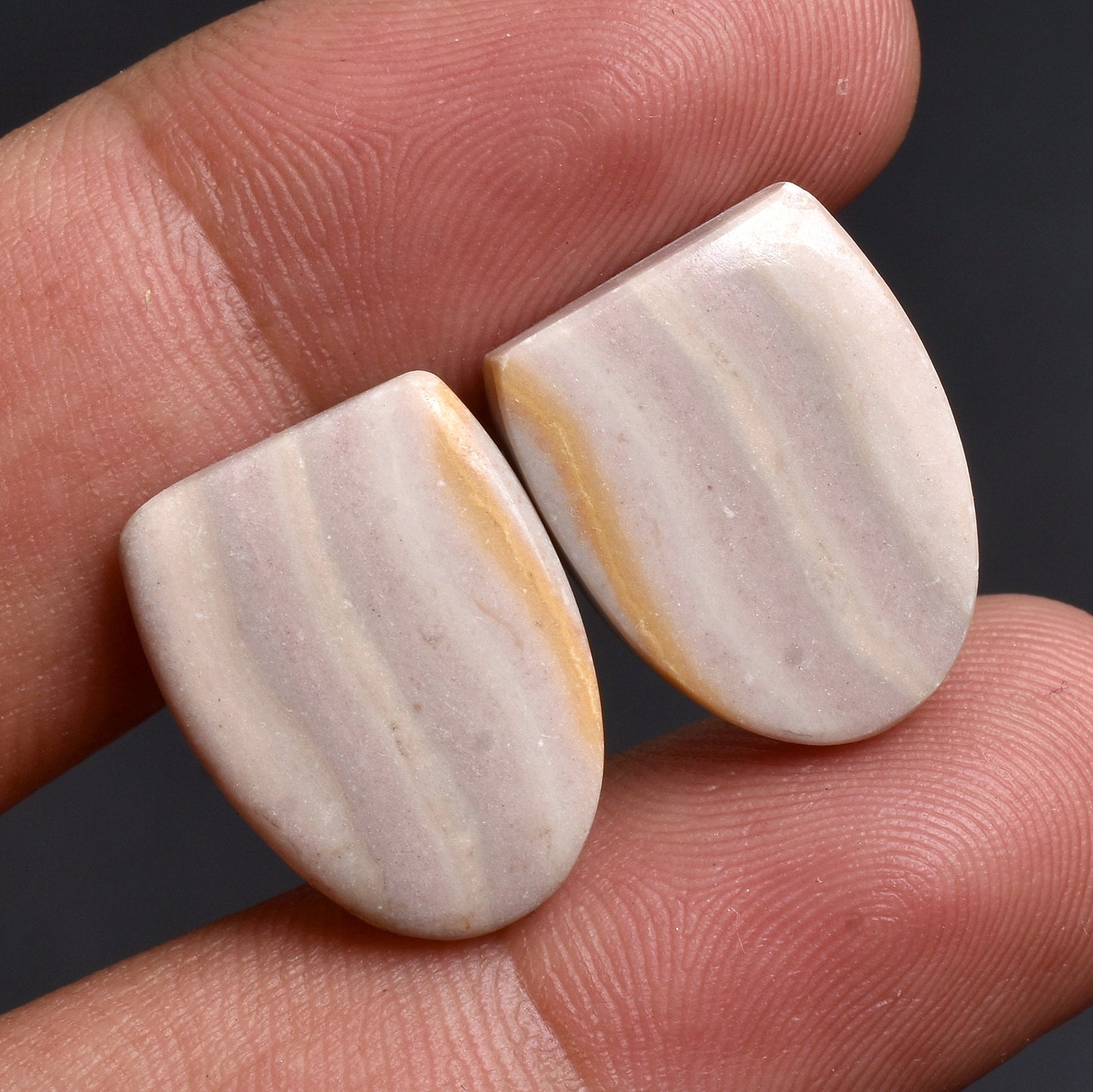 Picture Jasper Mixed Shape Loose Stones for Earrings - Wholesale Pairs