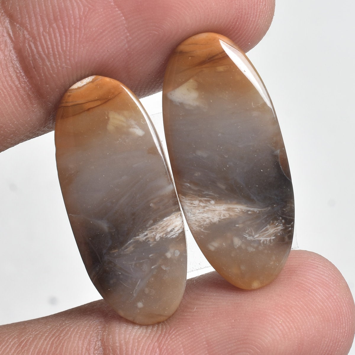 Natural Palm Root Matching Pair - Fossil Gemstone Agate Pair for Custom Jewelry & Gifts